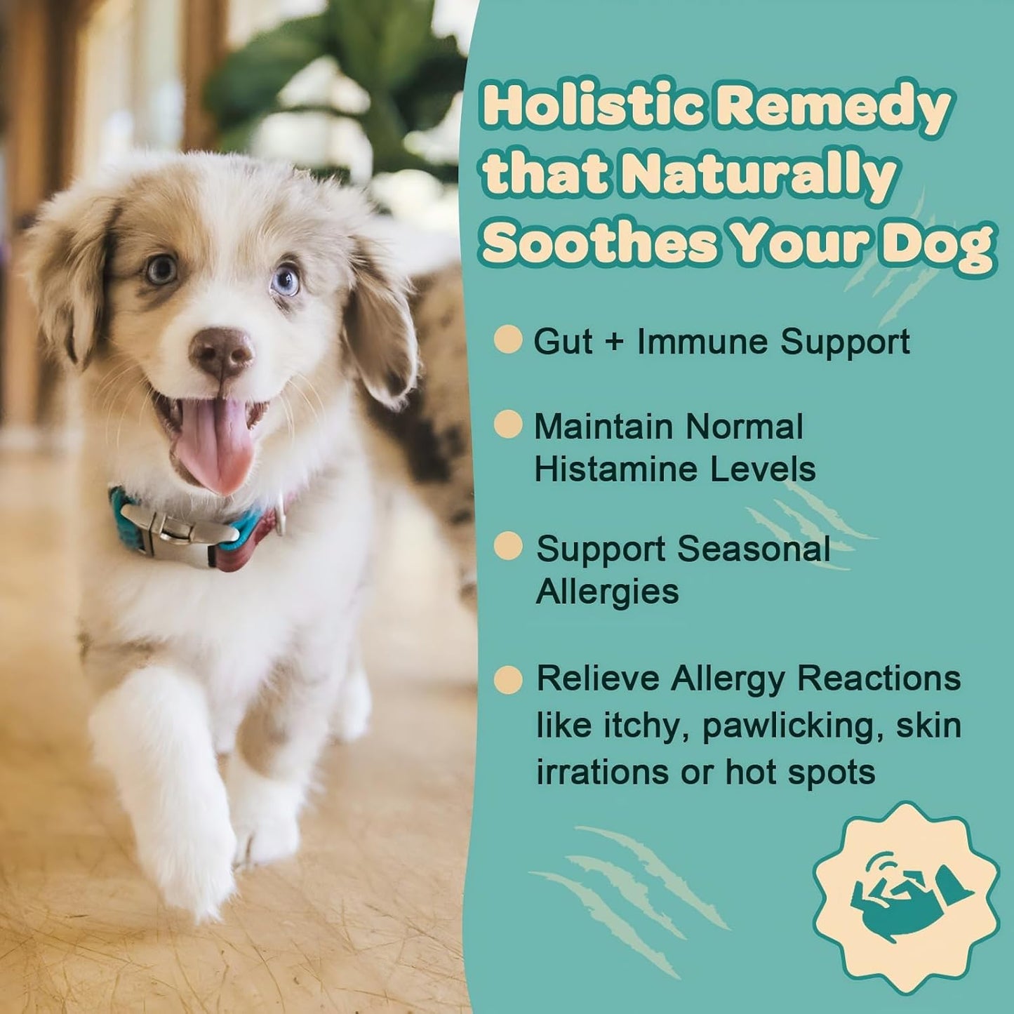 ZEBORA Probiotics for Dogs, with Colostrum, Omega-3, Dog Allergy Relief & Itching Skin Relief, Support Itchy Ears, Seasonal Allergies, Digestive, Immune Health, 90 Scoops, Chicken Flavor