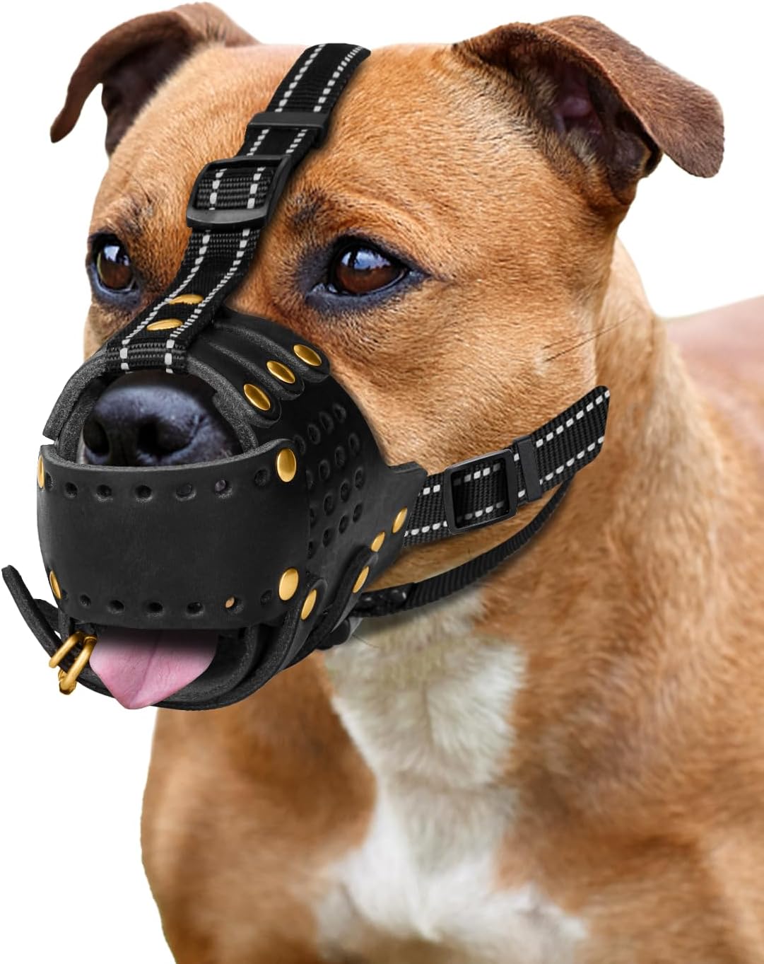 Dog Muzzle, Leather Basket Soft Muzzles Medium Large Breeds, Pitbull Dog Muzzle Amstaff Staffordshire Terrier, German Shepherd Dalmatian Doberman Adjustable (XL)
