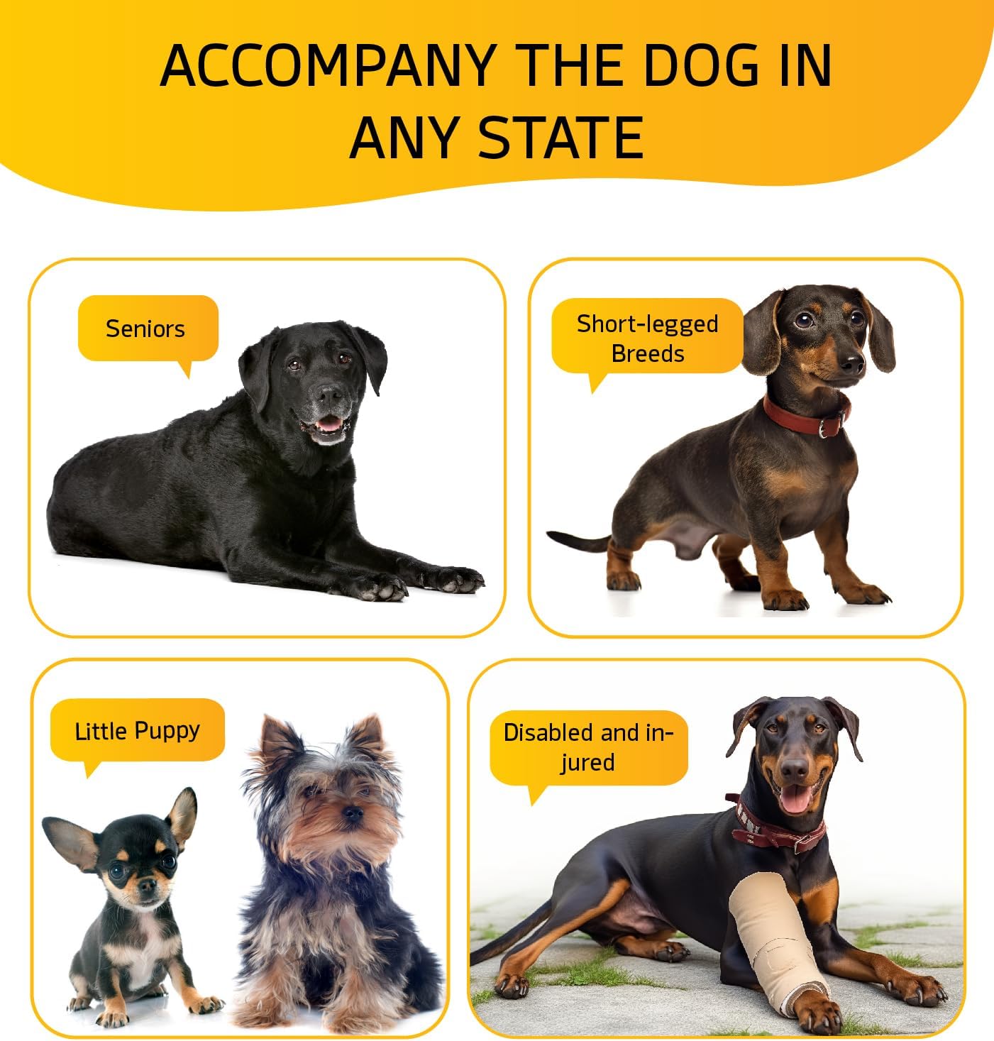 Dog Stairs for Bed, Dog Steps for Bed Couch Sofa, 35D Foam Pet Steps for Small Dogs and Cats, Extra Wide Pet Stairs with Non-Slip Bottom Grey, 3 Steps