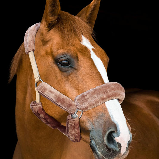 Harrison Howard Horse Halter Fleece Cover Set 9 Pieces