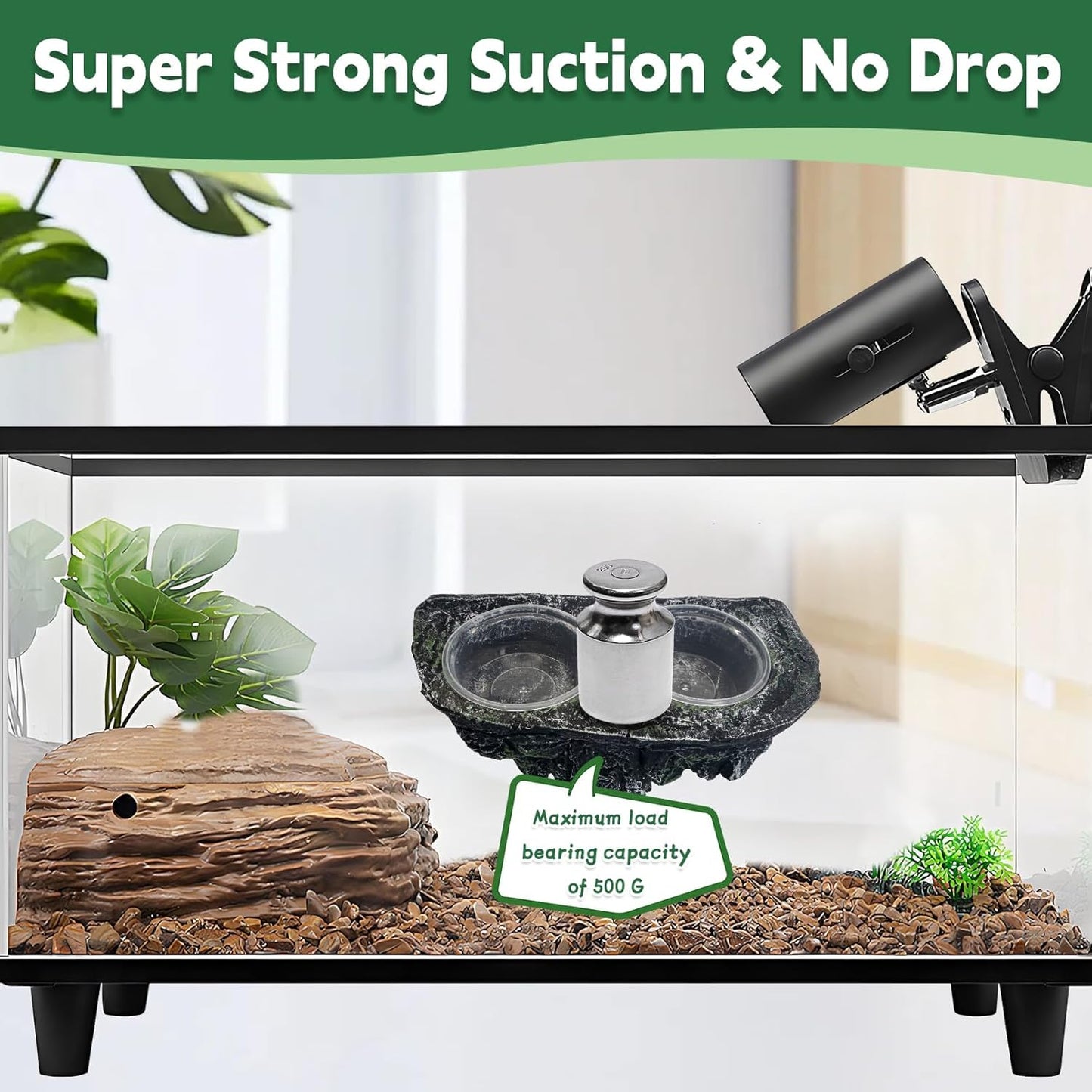 PINVNBY Reptile Feeding Ledge Double Reptile Water Bowl and Food Dish Crested Gecko Feeding Ledge with Suction Cup for Bearded Dragon Lizard Chameleon Snake and Other Reptiles