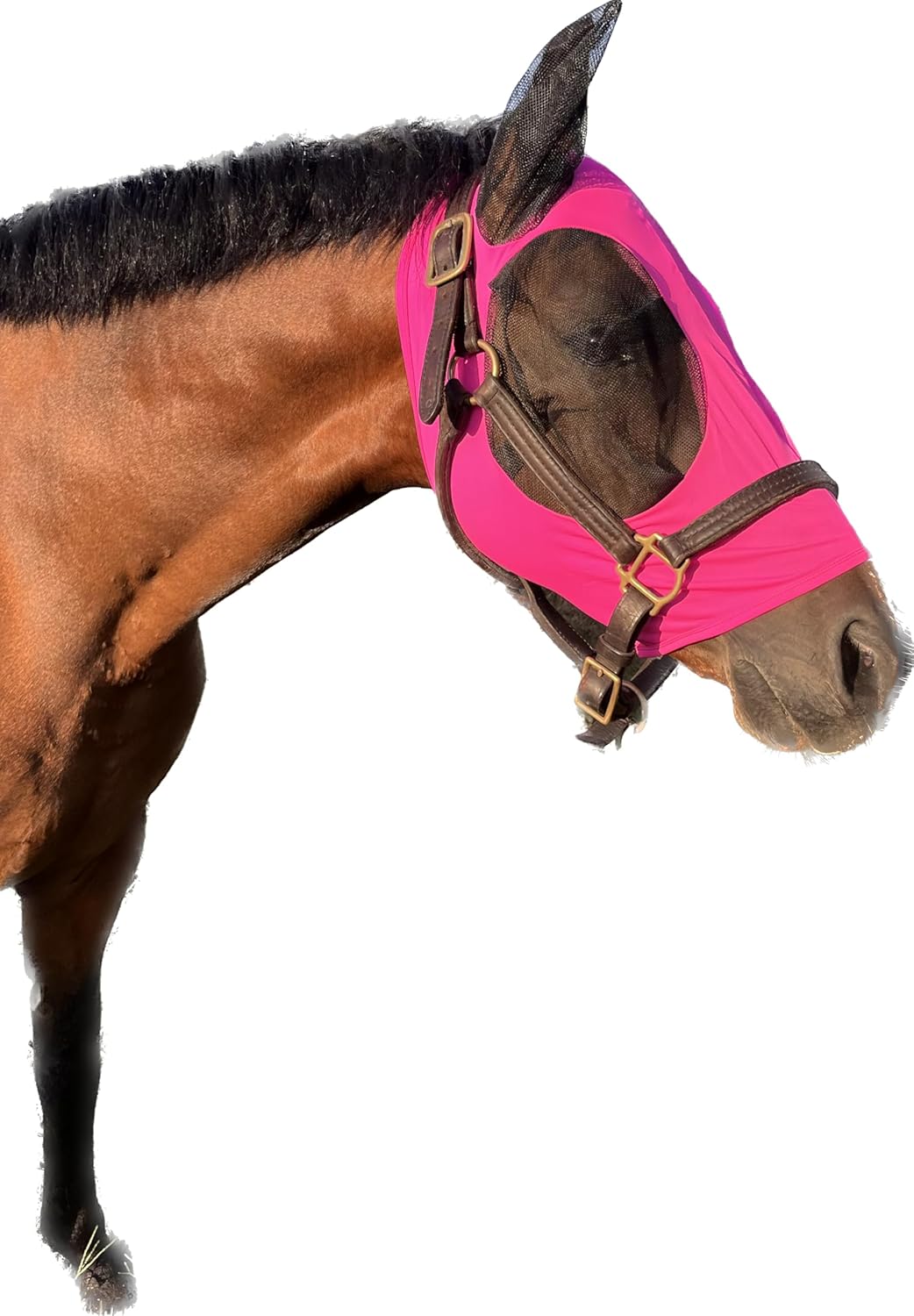 Horse Fly Mask - Arab Equine Fly Mask with Full Coverage for Eye & Ear - Stretchable, UV & Sun Protection Flymask for Horses, Ponies & Mini Horses - Horse Face Cover for Pasture & Trail - Pink