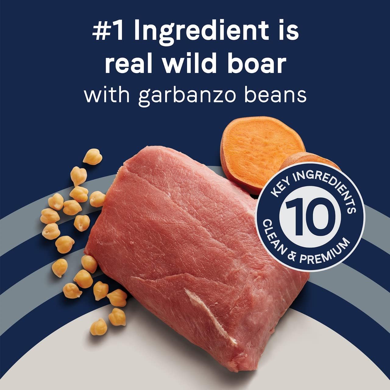 Canidae Pure Limited Ingredient Premium Adult Dry Dog Food, Real Wild Boar & Garbanzo Bean Recipe, 4 lbs, Grain Free