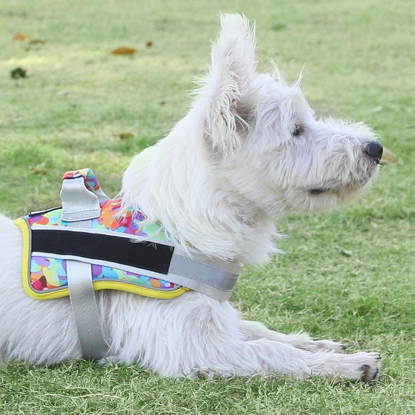 Bolux Dog Harness, No-Pull Reflective Dog Vest, Breathable Adjustable Pet Harness with Handle for Outdoor Walking - No More Pulling, Tugging or Choking (X-Small (Pack of 1), Watercolour)