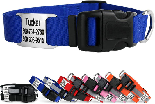 GoTags Personalized Dog Collar with Nameplate, Adjustable Dog Collar with Custom Engraved Slide On Pet ID Tag in Stainless Steel, Silent, No Noise Dog Tag for Large Medium and Small (Blue, Large)