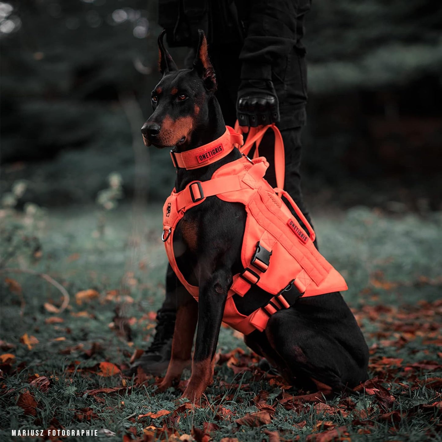 OneTigris Tactical Dog Harness for Small Dog, Mesh Design Service Dog Vest Breathable Military Dog Molle Vests with Handles, Harness for Walking Hiking Training