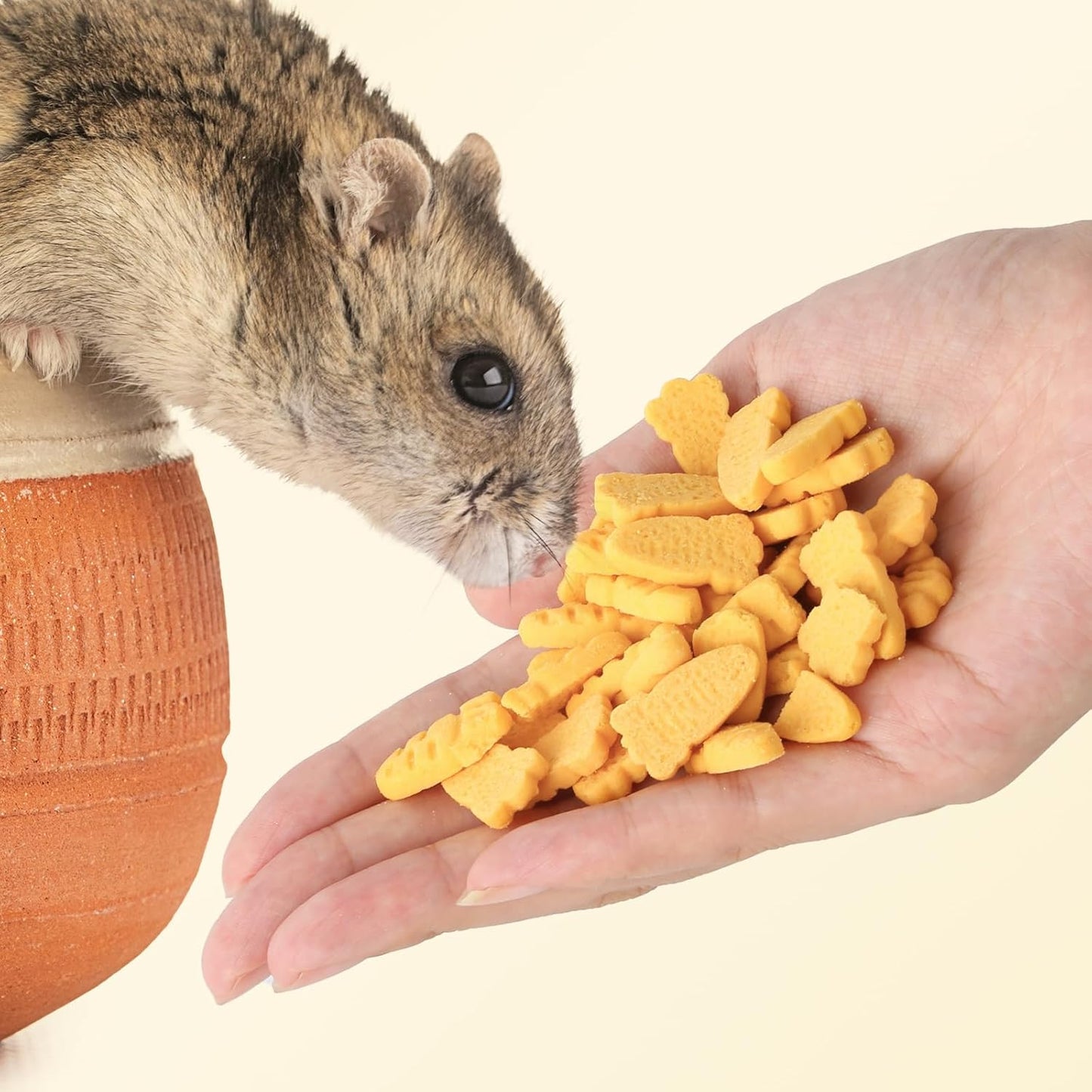 Abizoo Hamster & Gerbil Treats, Crunchy Baked Hamster Snacks with Carrot and Yeast, Natural Training Reward Chew Treats for Small Animals, Supports Digestion and Dental Health