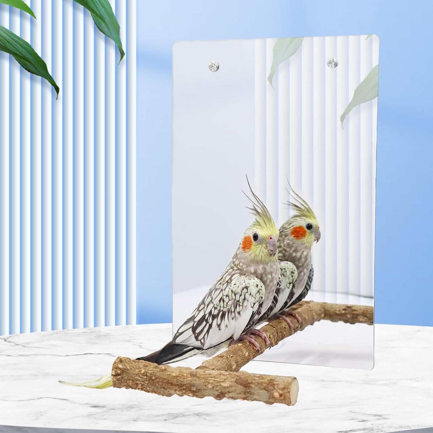 Oooct Large Bird Mirror Toy with Perch Stand, Parrot Parakeet Mirror with Bird Swing Bell Toys, Bird Cage Accessories, Suitable for Parakeet Cockatiel Conure Lovebirds - 11.8 × 7.9 Inch