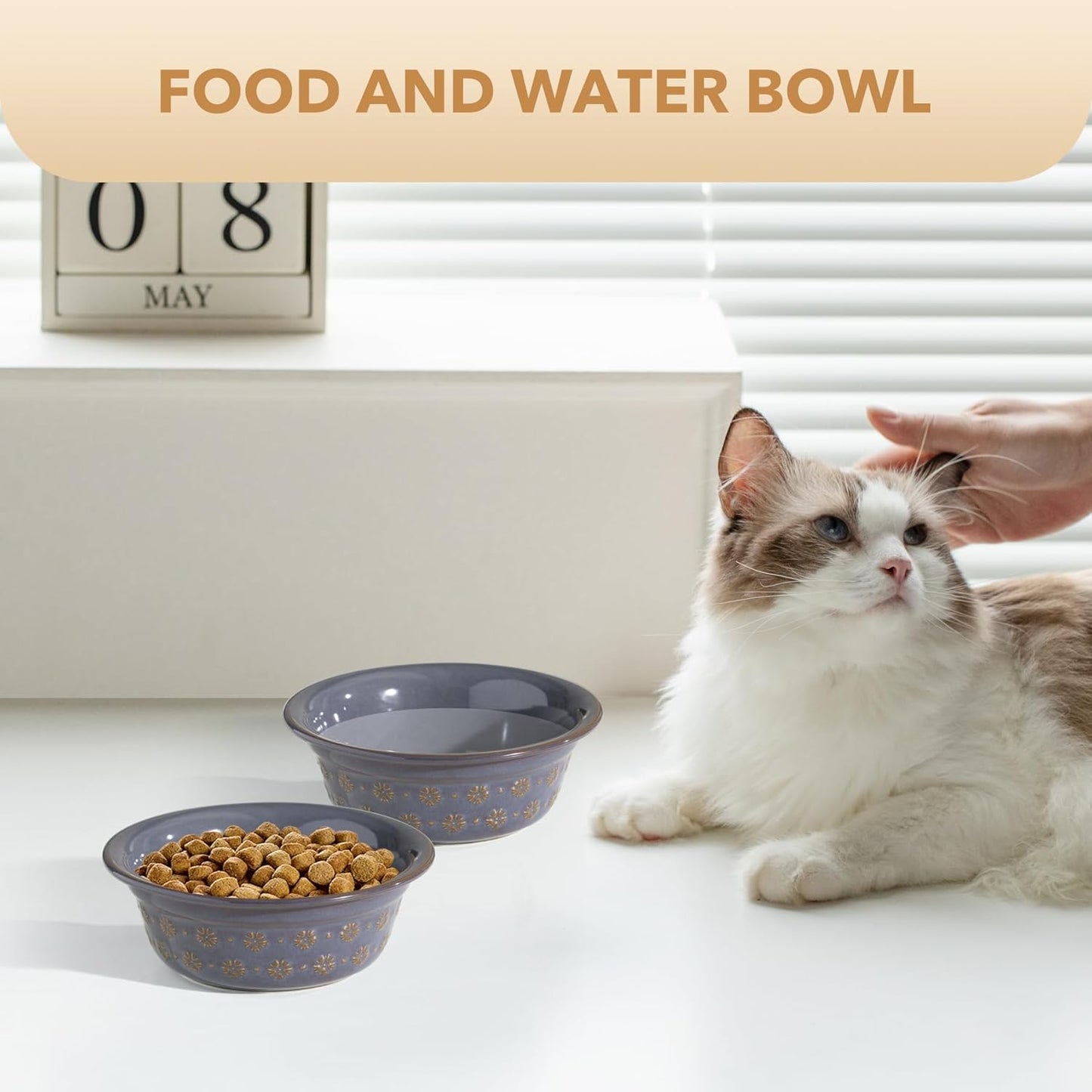 5.5inch Ceramic Set of 2 Dog and Cat Bowls, 2pcs Basic Food and Water Dishes for Puppy, Kitty, Wide Opening Rounded Edge (2 Bowls, Reactived Glaze -Grey)