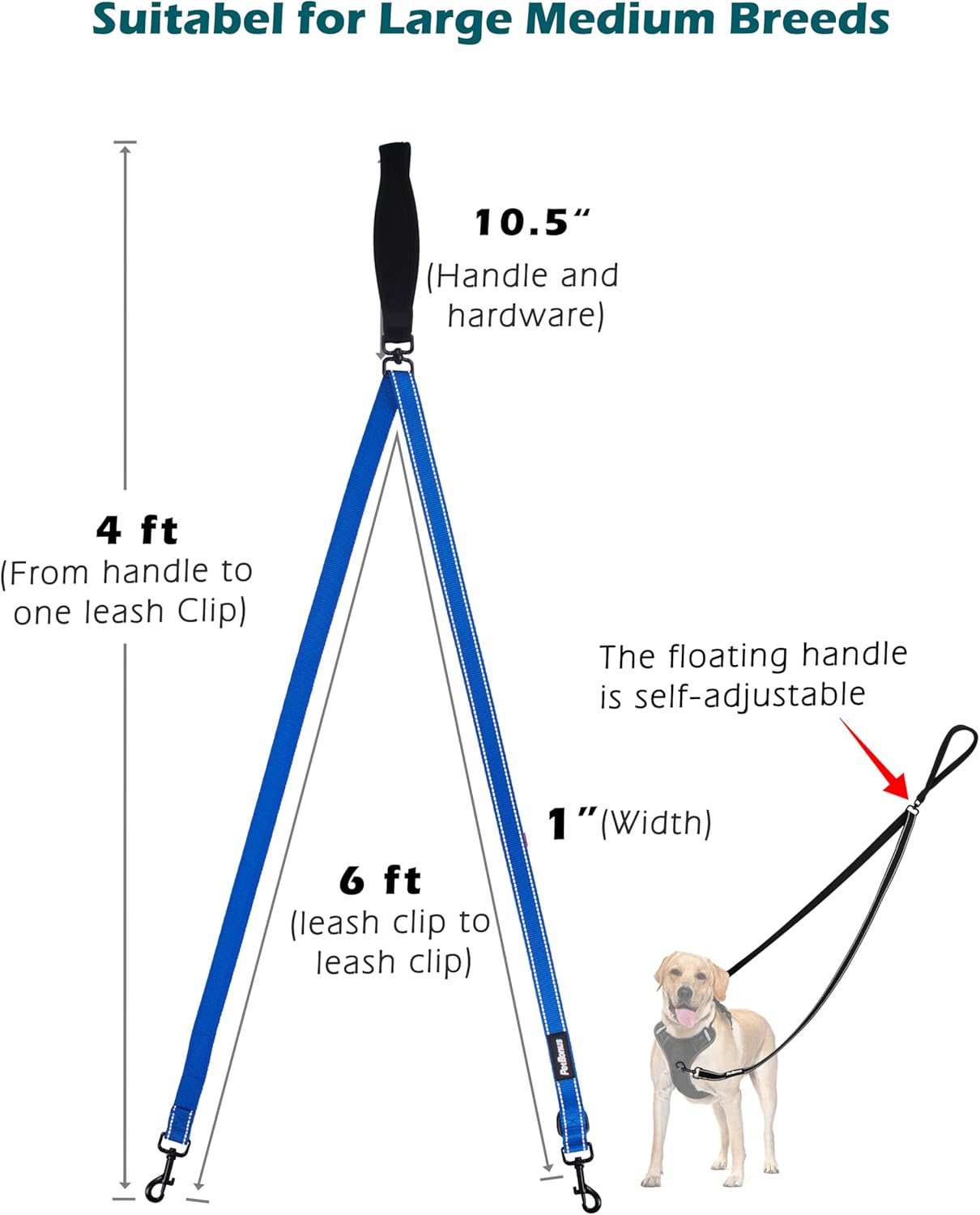 PetBonus Two Point Control Dog Leash, Works with No Pull Harnesses, No Tangle Dog Training Leashes, No Pull Padded and Reflective Walking Lead, Converts to Single Leash for Medium Large Dogs (Blue)