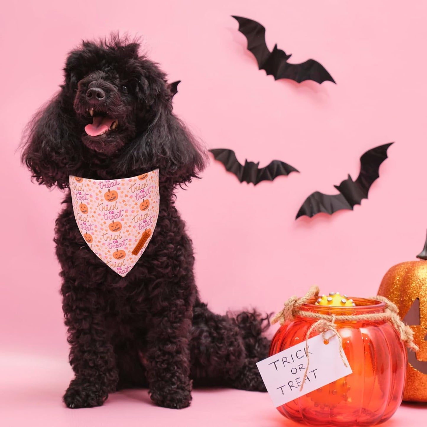 ADOGGYGO Halloween Dog Bandana, Pink Pumpkin Ghost Scarf, Adjustable Fit Female Halloween Bandanas for Small Dogs Puppies (Small)