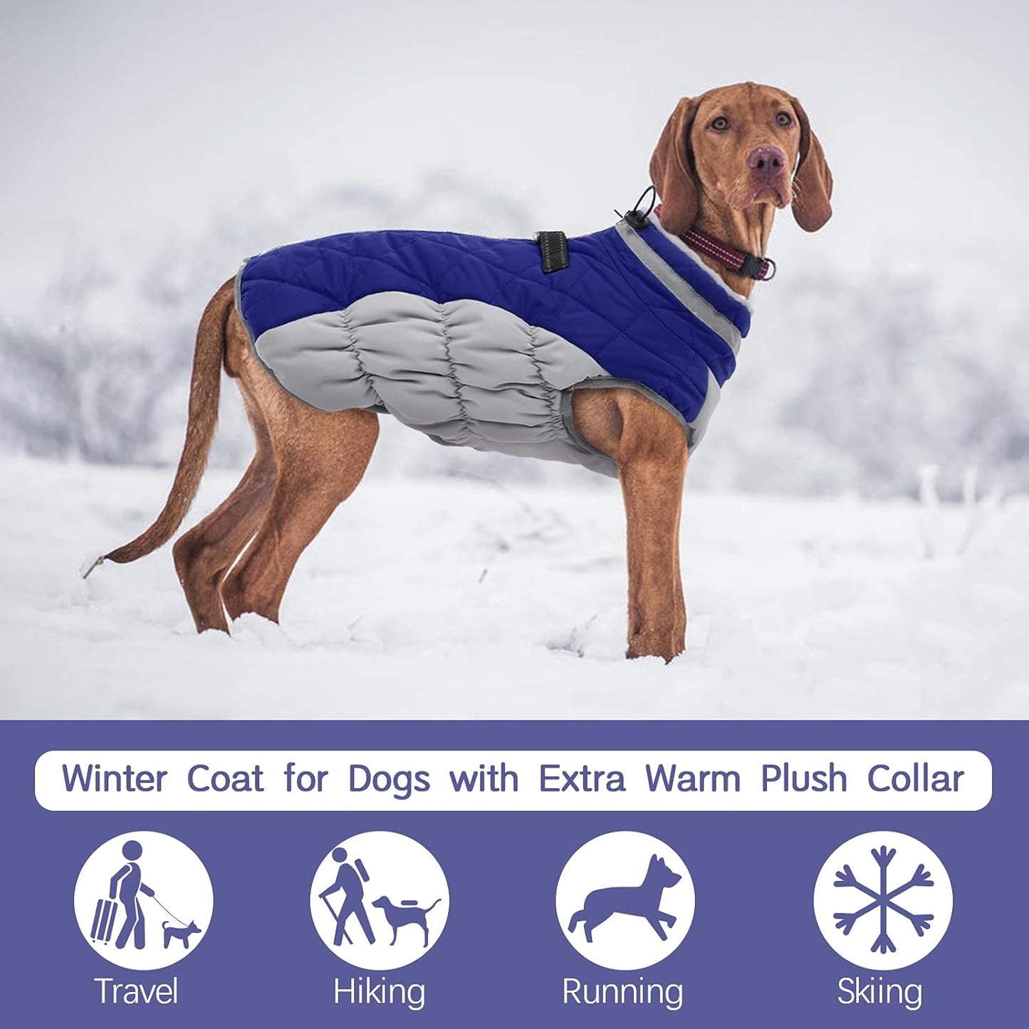 FUAMEY Dog Coat for Medium Dogs,Waterproof Dog Winter Jacket with Harness Built in Puppy Cold Weather Coats Reflective Pet Vest with Zipper Warm Fleece Dogs Snowsuit Windproof Blue M