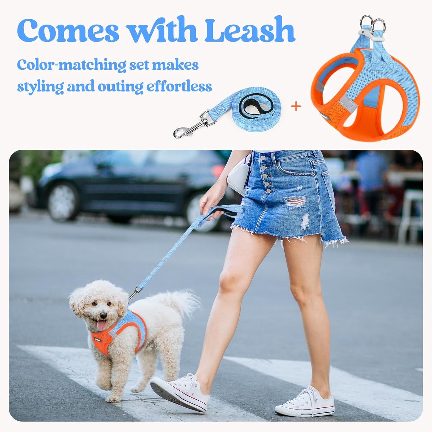 rabbitgoo Dog Harness Small Sized and Leash Set, Step in Soft Light Puppy Vest, Breathable Mesh Pet Harness, Reflective for Safe Easy Walking, Blue & Orange XXXS