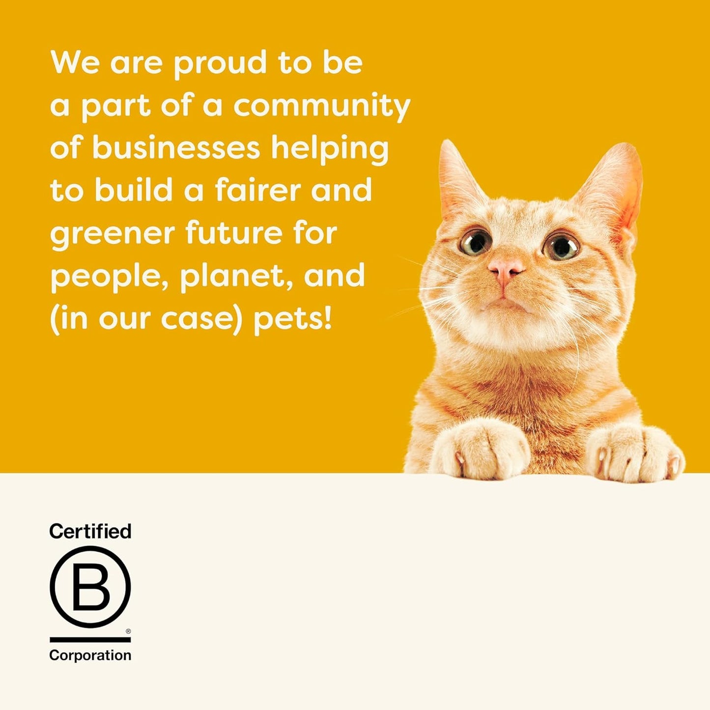 Applaws Natural Wet Cat Food in Gravy, Limited Ingredient Canned Wet Cat Food, No Additives, Made with Natural Ingredients, Chicken Selection in Gravy Cans (24 x 2.47oz Cans)