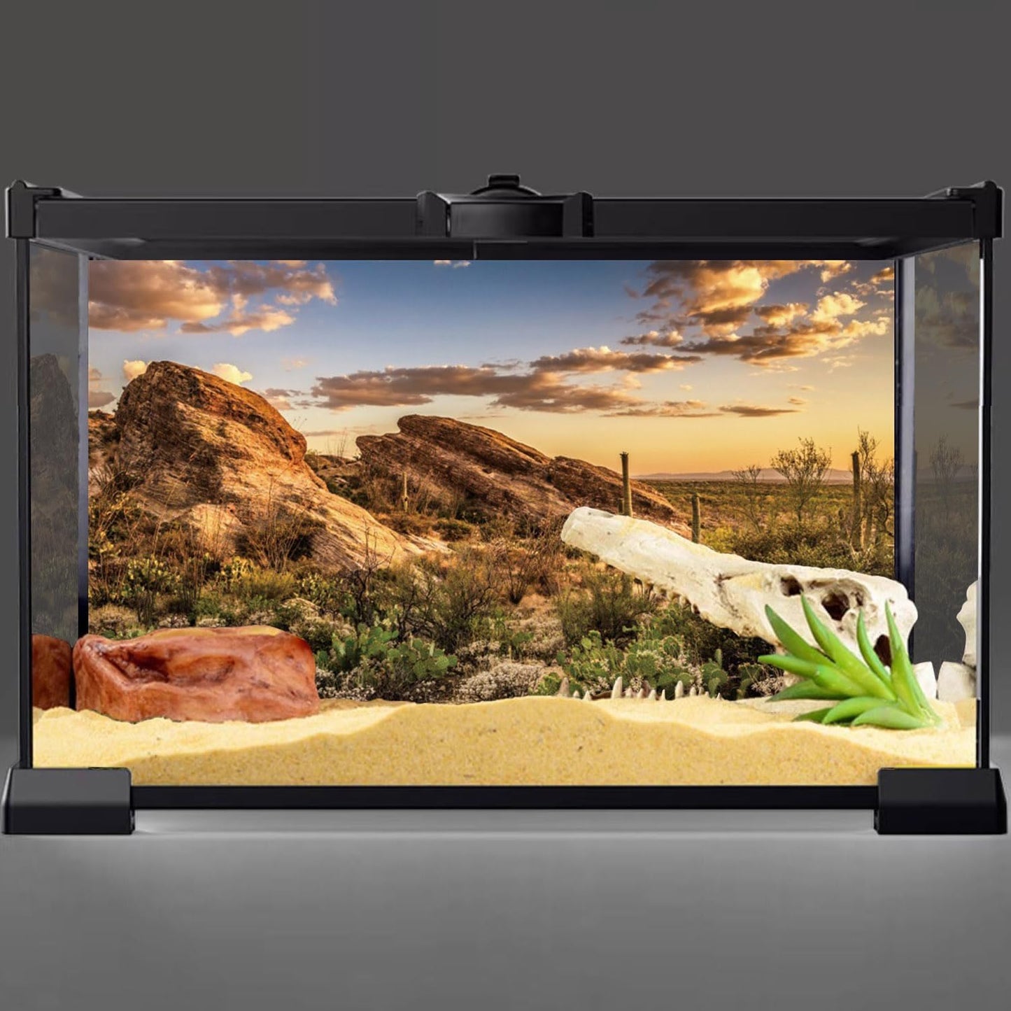 AWERT Terrarium Background 36x18 inches Reptile Habitat Background Blue Sky Oasis Cactus Sun and Desert Terrarium Background Polyester Terrarium Background