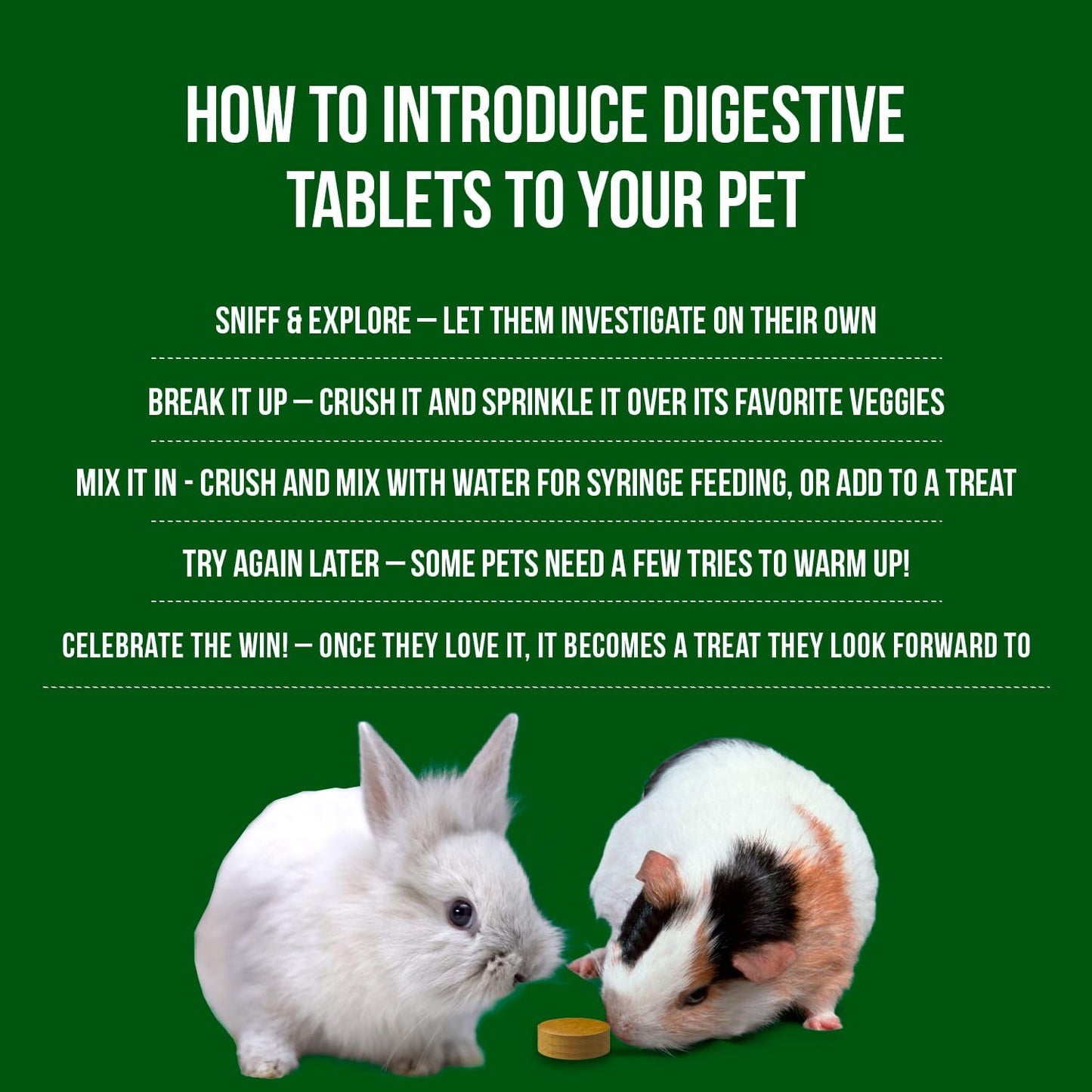 Digestive Support, Papaya by Sherwood Pet Health (100 Tablets - 60 Grams). Contains Natural Motility Herbs That Regulate The Digestive Tract, Improve The Gut microbiome and Stimulate The Appetite.