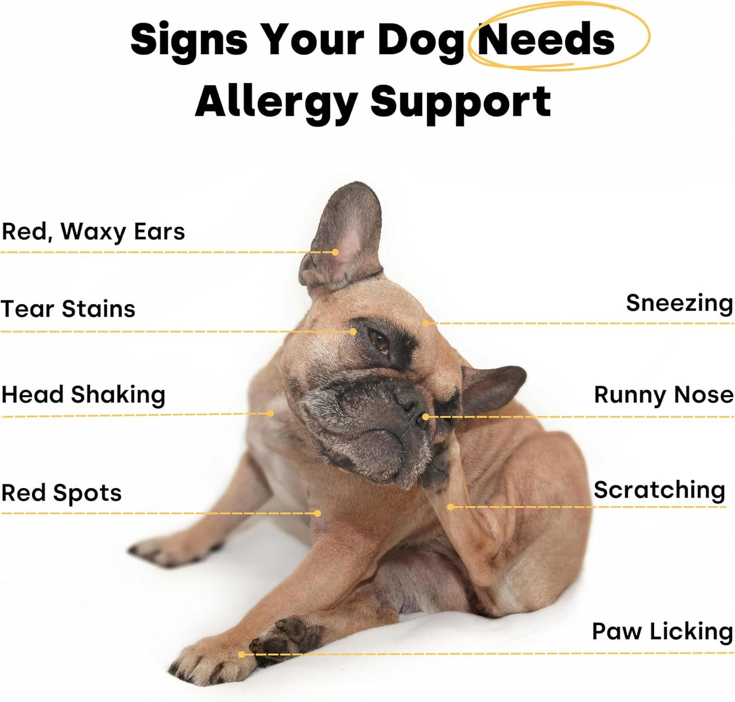 Kayode Itch & Allergy - Natural Dog Allergy Chews with Advanced Itch Relief. Premium Colostrum & Bee Pollen for Dog Allergies. Natural Alternative to Allergy Medicine