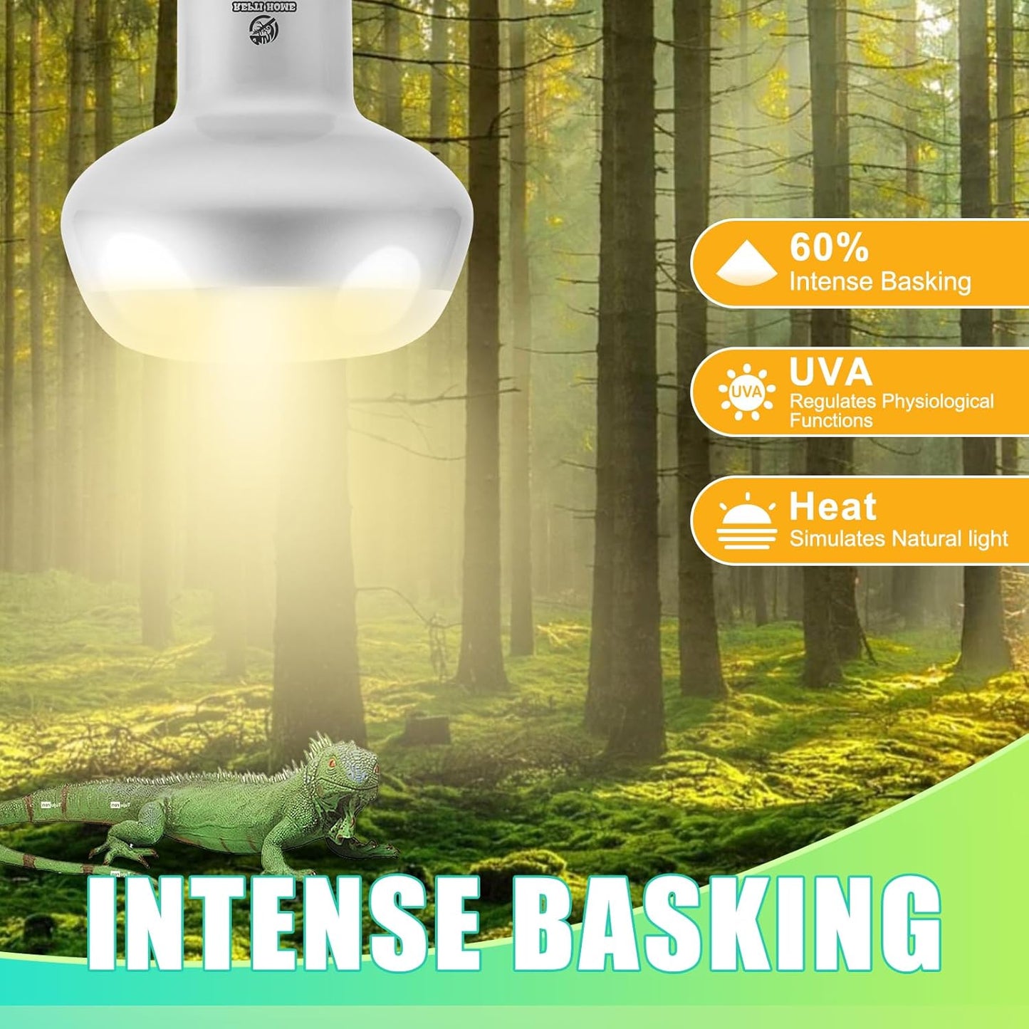 Reptile Heat Lamp 2Pack 100W, Intense Basking Spot Light Bulb with UVA, Simulate Natural Daylight Heat Bulb for Reptile, Turtle, Bearded Dragon, Lizard, Tortoise, Gecko, Snake