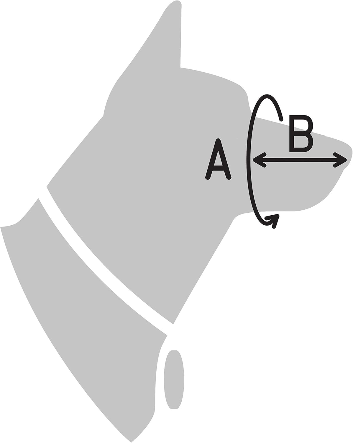 CollarDirect Dog Muzzle German Shepherd Dalmatian Doberman Setter Leather Basket Medium Large Breeds (Chestnut Brown, Large)