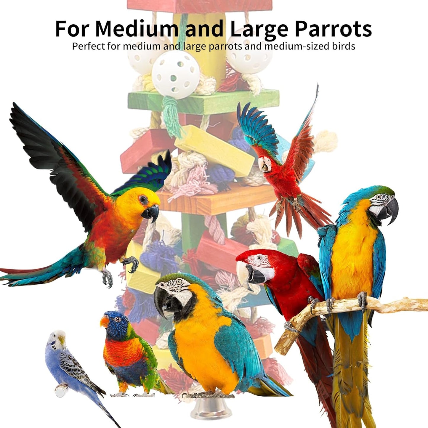 Interactive Parrot Toys for Large Birds, Cockatoo, Cockatiel, and Parakeet Toys, Original Wooden and Natural Material, Fun Durable and Eco-Friendly Bird Cage Toy