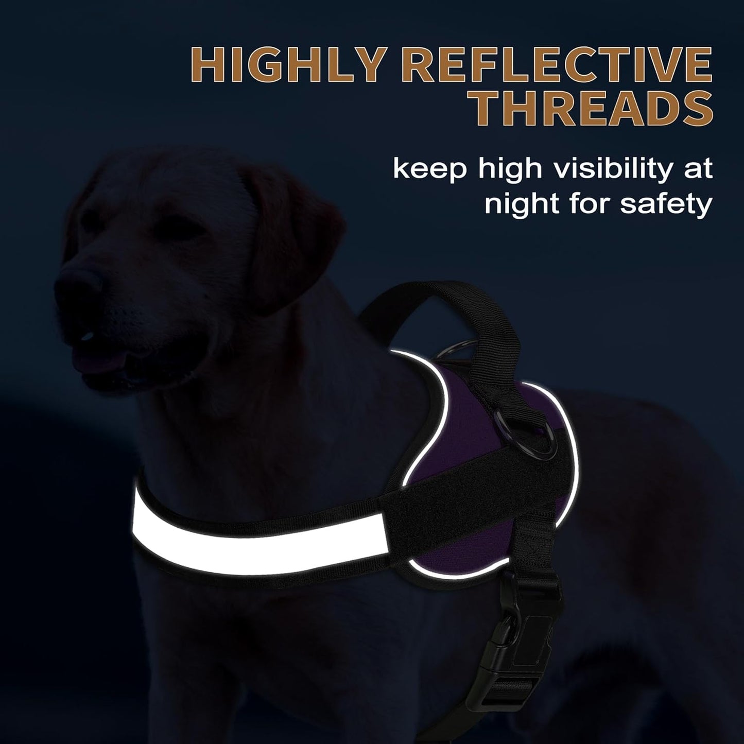 Haapaw Essential Dog Harness, No Pull Pet Vest with 3 Leash Clips, No Choke, Reflective, Adjustable and Padded, for Easy Walking and Training for Large Dogs(L, Purple)