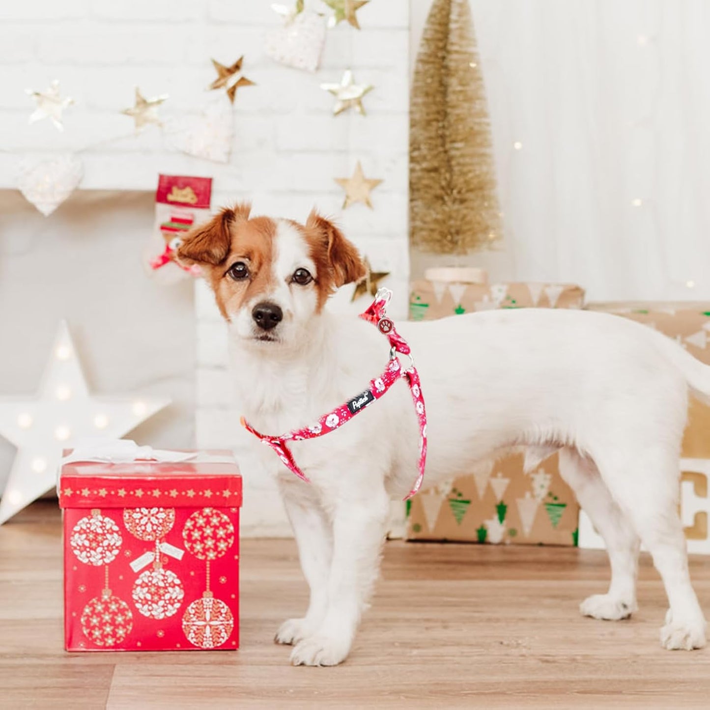 PUPTECK No Pull Dog Harness Soft Adjustable Basic Nylon Step in Puppy Vest Outdoor Walking with ID Tag, Christmas, S