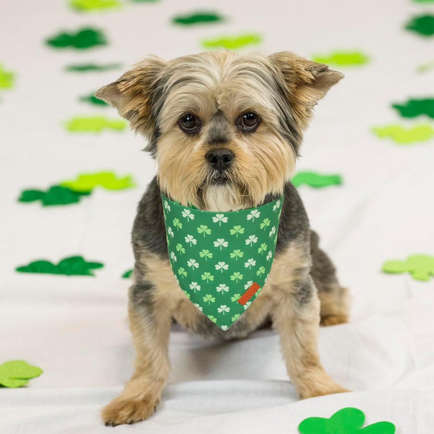 PTDECOR St.Patrick's Day Dog Bandana,Green Shamrock Reversible Holiday Dog Scarf, Multi Size, Triangle Irish Bandanas for Small Pets (Small)