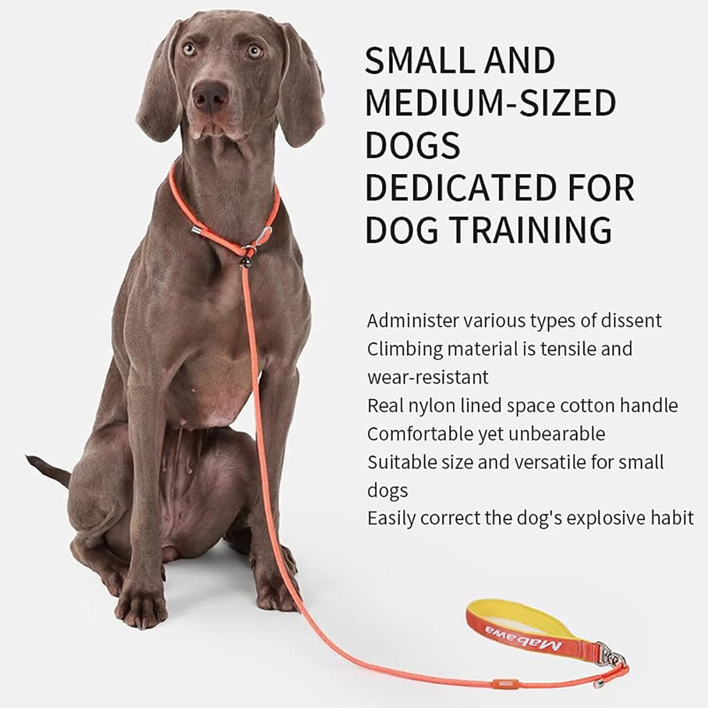 Dog Anti-Slip Leash 5FT with Metal Stopper - Durable No-Pull Training Lead for Small, Medium & Large Dogs - Comfortable Handle Nylon Rope, Tangle-Free Pet Walking Leash (Orange, 5.6FT)