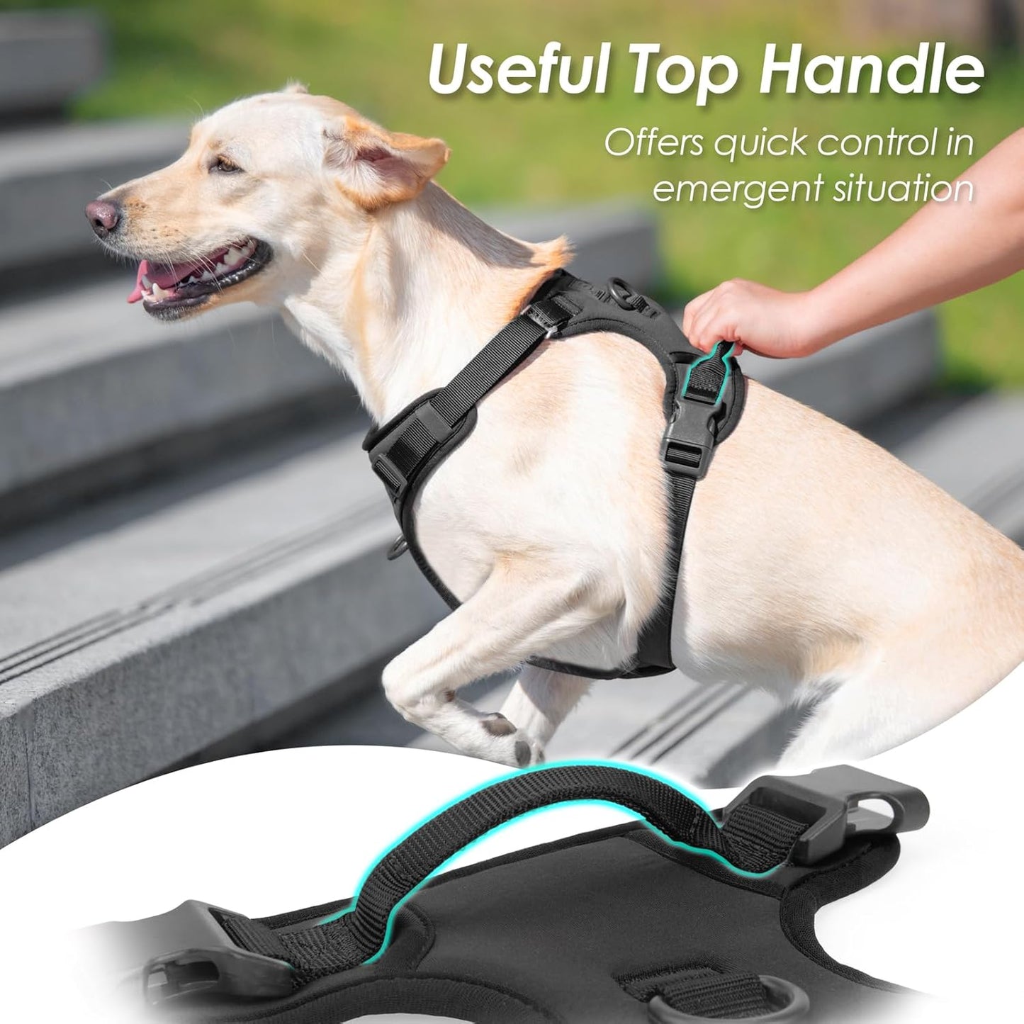 No Pull Dog Harness, Puppy Vest with Front Clip for Small Medium Large Sized Dog(Black,XL)