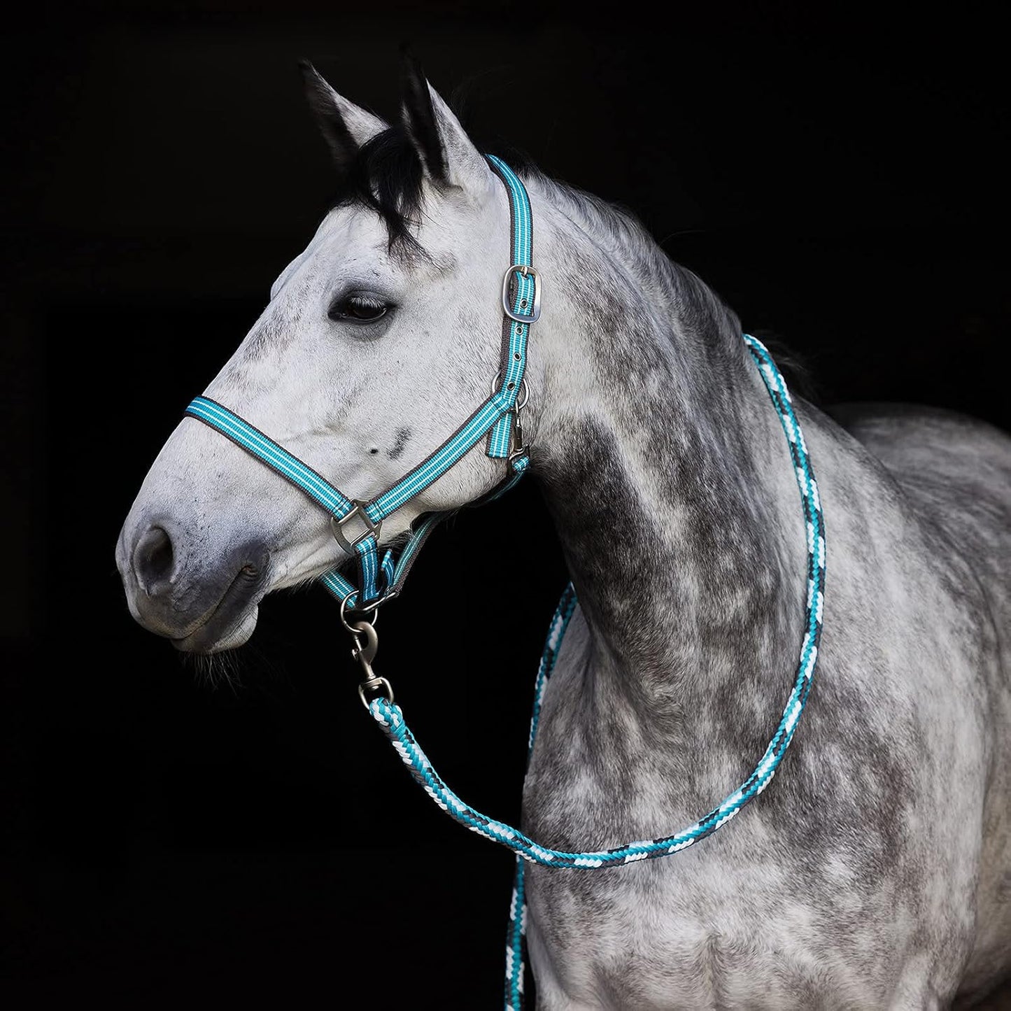 HORZE Adepto Adjustable Horse Halter | Soft, Durable Polyester - Canal Blue - Horse