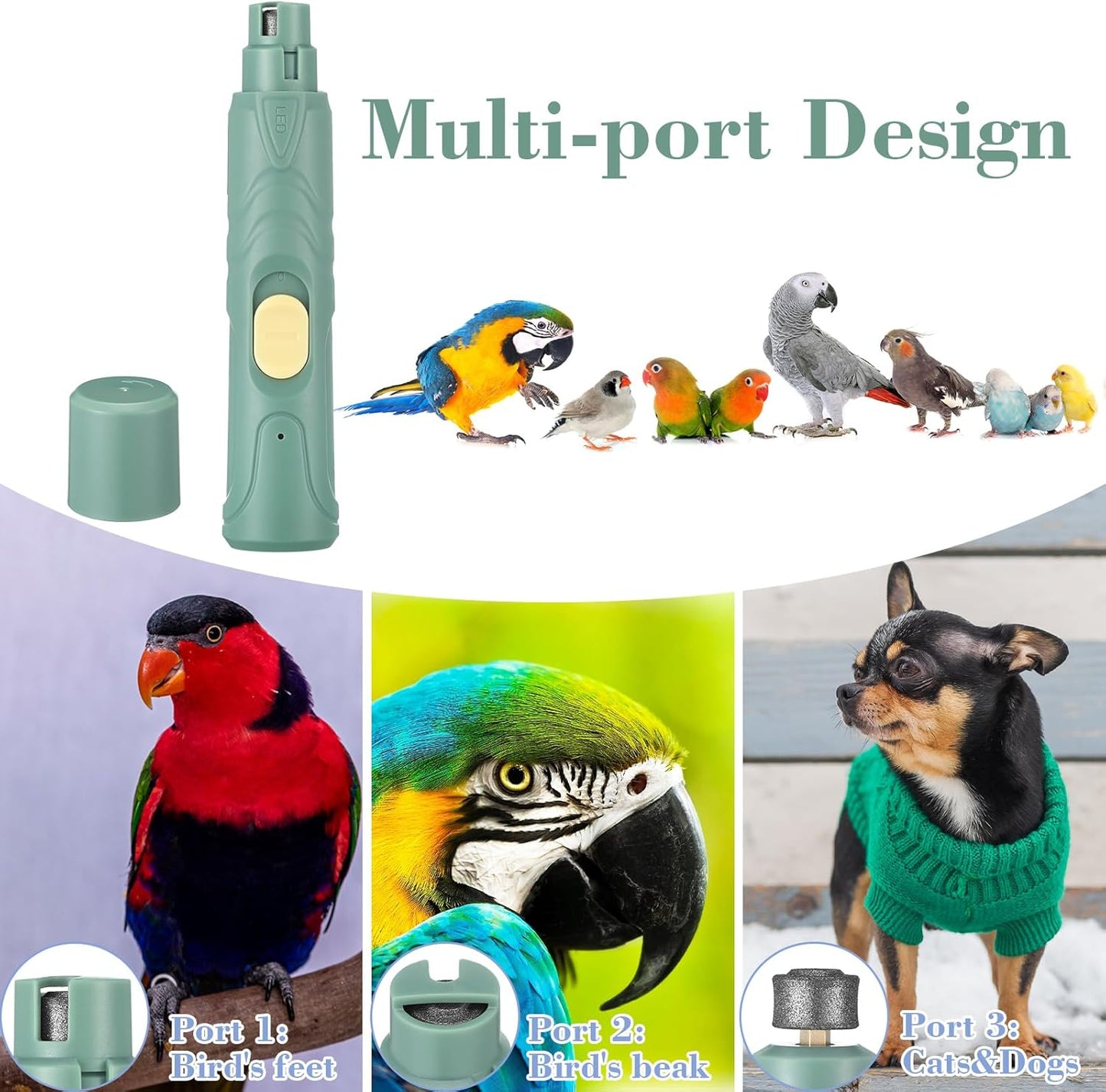 Lasnten 2 Pcs Bird Nail Grinder with Bird Nail Clipper Bird Nail Trimmer Bird Nail File with LED Lamp Grooming Tool for Bird Parrot Budgerigars Parakeets Myna Conure Finches Lovebirds (Green)