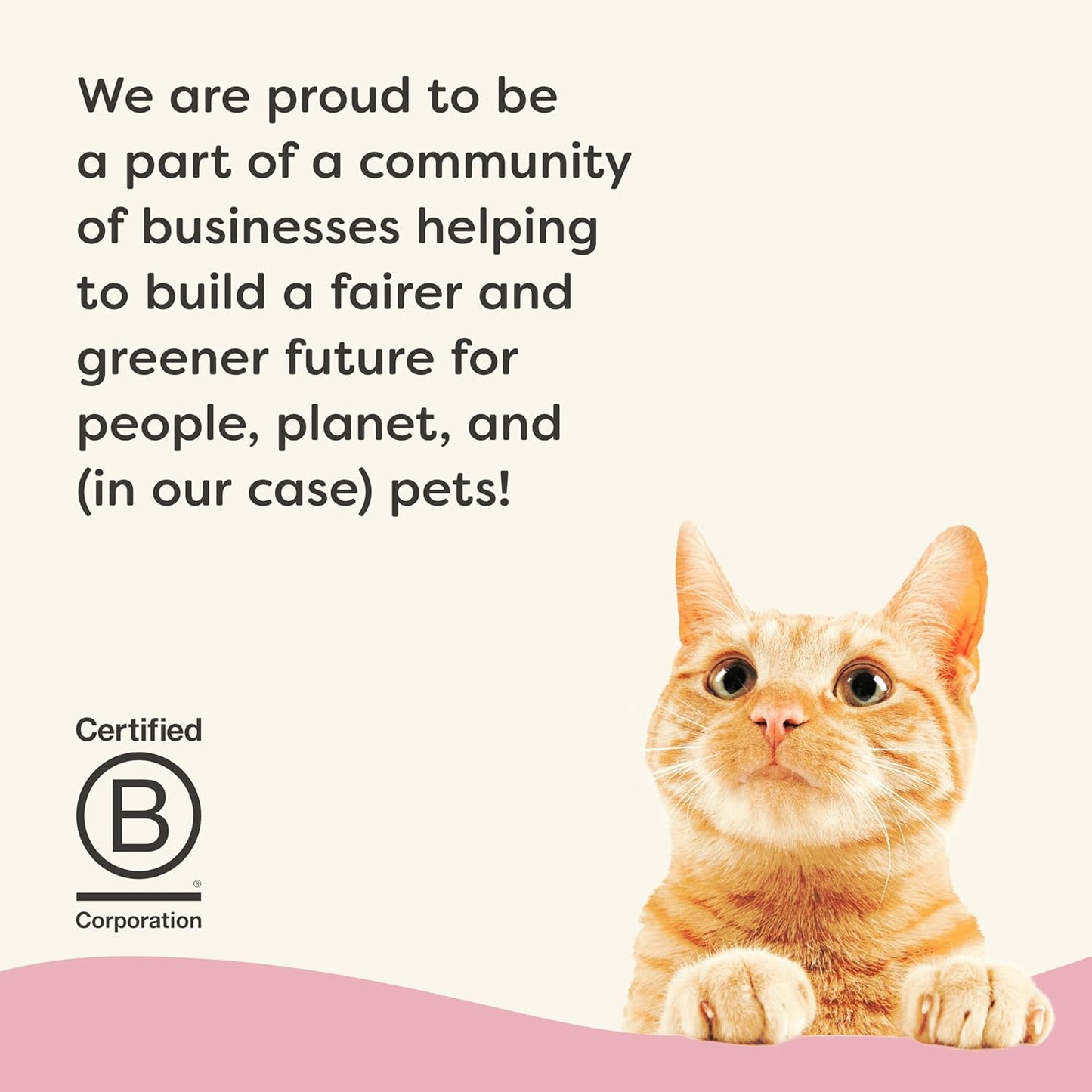 Applaws Vitality Wet Cat Food in Broth, Natural Canned Cat Food, Wet Food for Cats with Added Vitamins and Minerals, Grain and Carrageenan Free, Tuna Fillet & Shrimp in Broth (24 Count, 2.47 oz Cans)