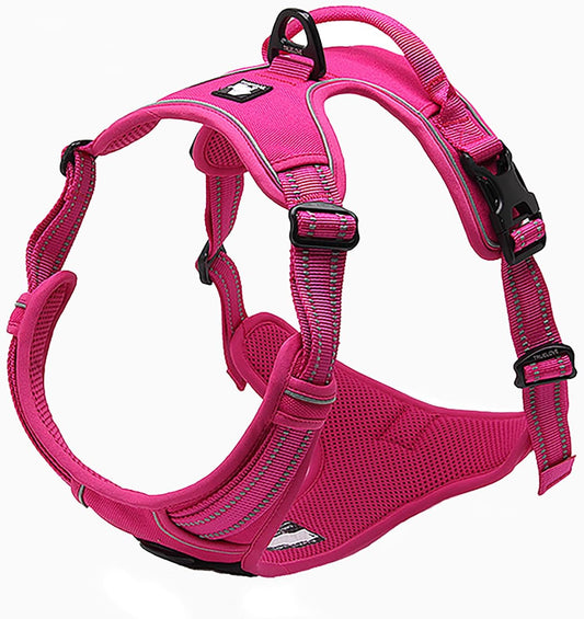 TRUE LOVE Adjustable No-Pull Dog Harness Reflective Pup Vest Harnesses Comfortable Control Brilliant Colors Truelove TLH5651(Fushcia,XL)