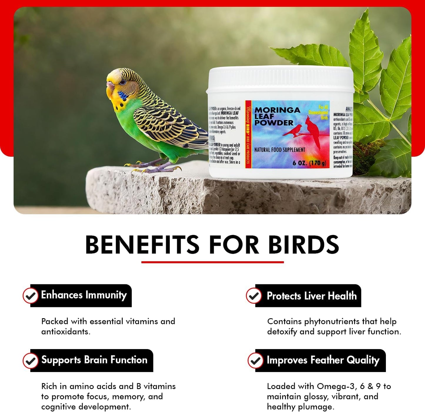 Morning Bird Moringa Leaf Powder 6 oz – Natural Food Supplement for Birds, Rich in Vitamins & Minerals, Boosts Immune System & Energy, Supports Healthy Feathers, Digestion, and Overall Avian Wellness