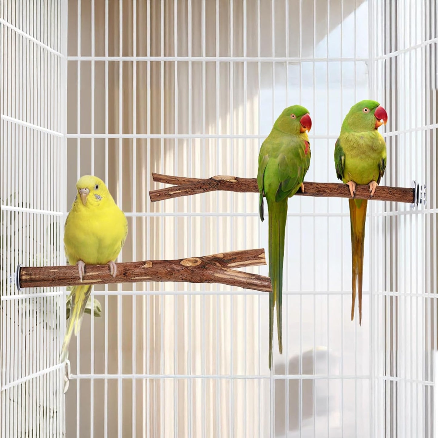 Niteangel Natural Wooden Perches for Bird Cages - Ideal for Cockatiels, Parakeets, Finches & Other Caged Birds (No-Bark, 2 Pack)
