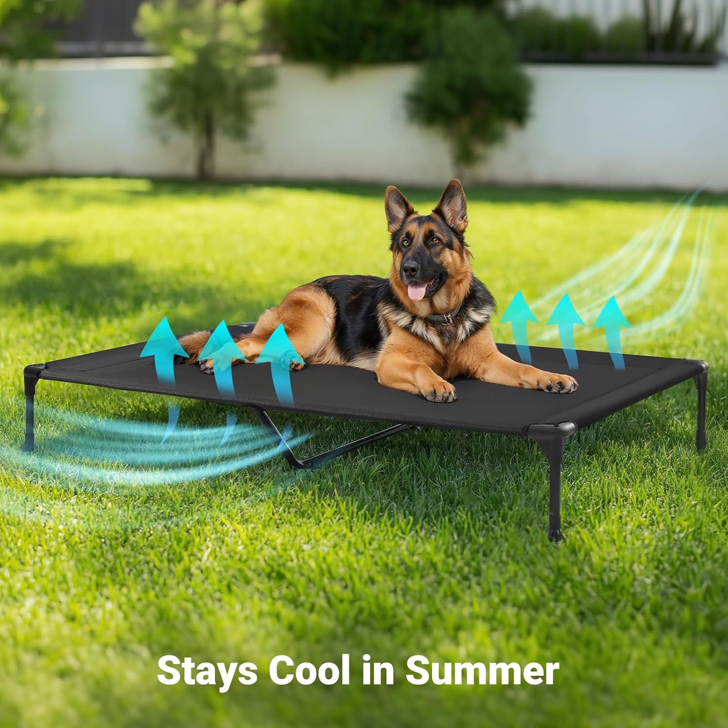 Veehoo Outdoor Elevated Dog Cot Bed, Cooling Raised Pet Bed for X-Large Dog, Washable Breathable Mesh Hammock Bed with No-Slip Feet, Indestructible Ground Off Training Platform Cot-49"x33" Blue