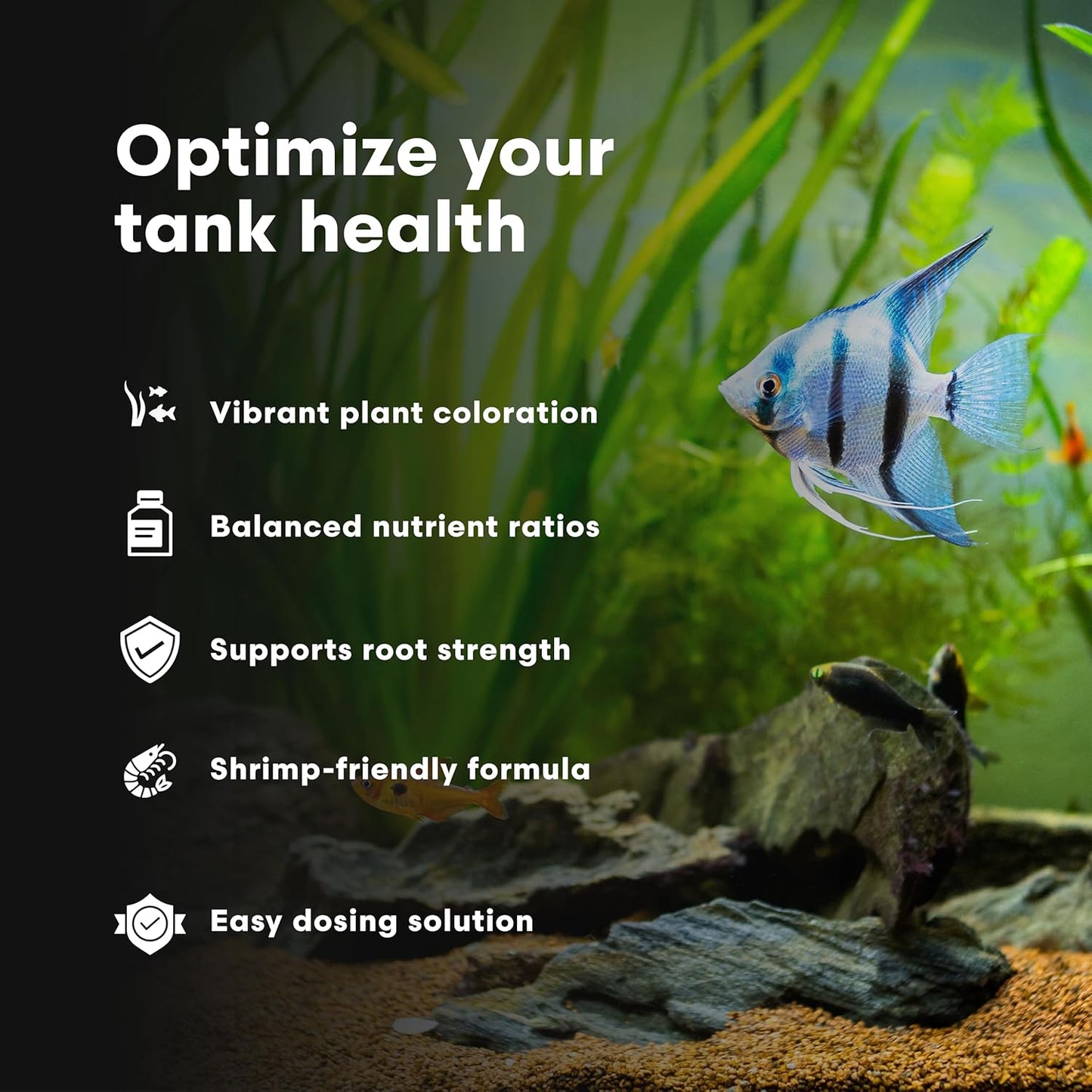 Brightwell Aquatics Shrimp FlorinMulti – Complete Plant Nutrient Supplement for Shrimp & Freshwater Aquariums – Supports Growth, Color & Health – Copper-Free, 250 ml