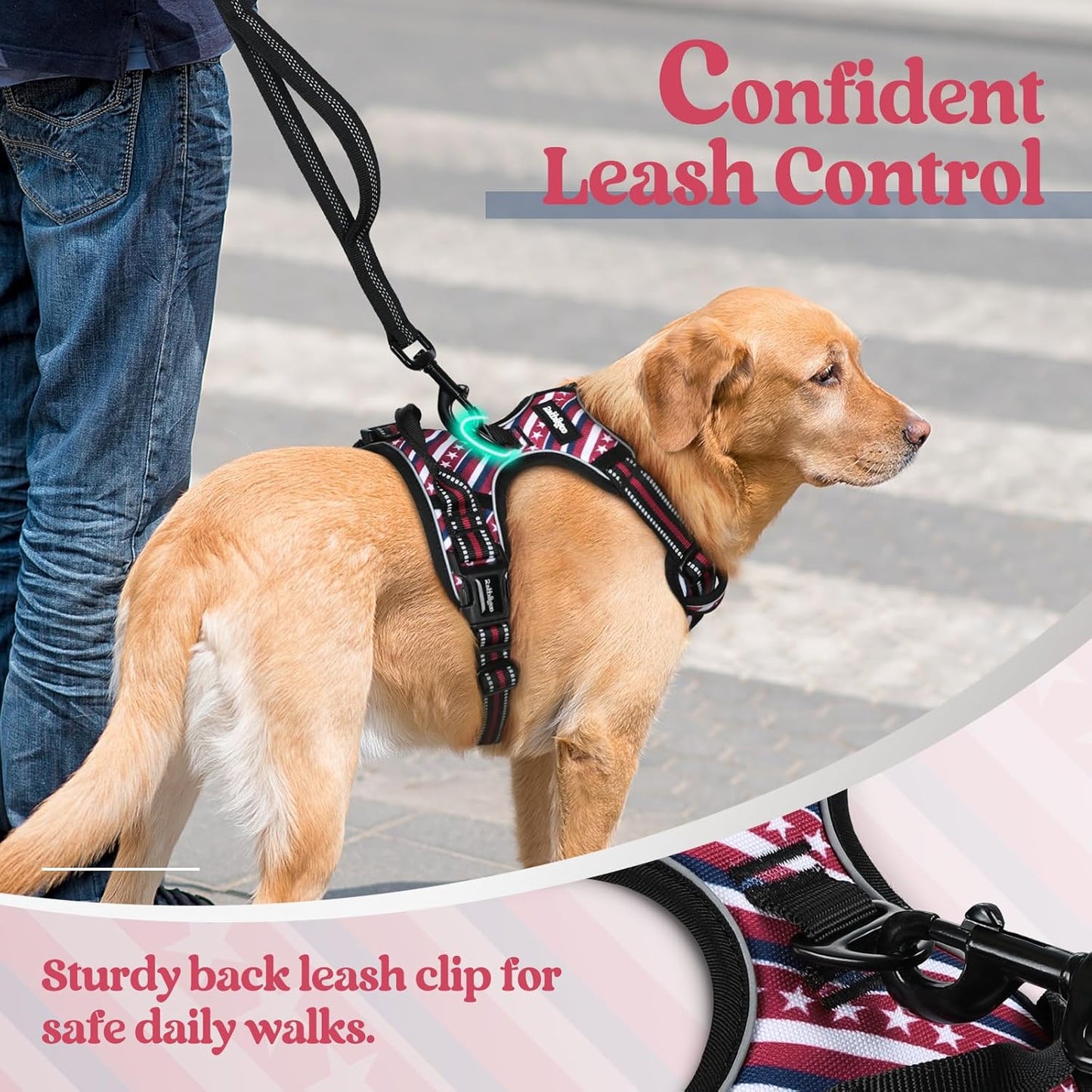 rabbitgoo Dog Harness No Pull with 2 Leash Clips, Adjustable Soft Padded, Reflective Oxford No Choke Pet Vest with Easy Control Handle for Large Dogs, Red Stripe, XL