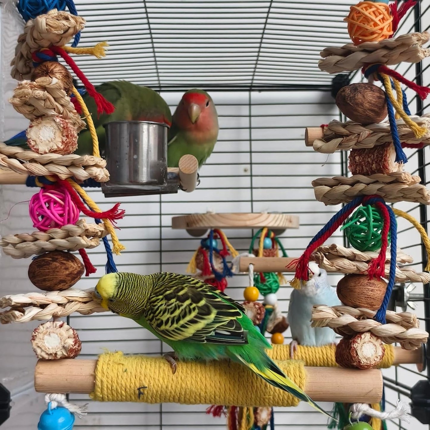 Bird Swings Toys for Parakeets Parrot,Natural Bird Perch Cage Hanging Chew Toys for Conures Budgerigars Finches Parrots Lovebirds and Small Medium Birds