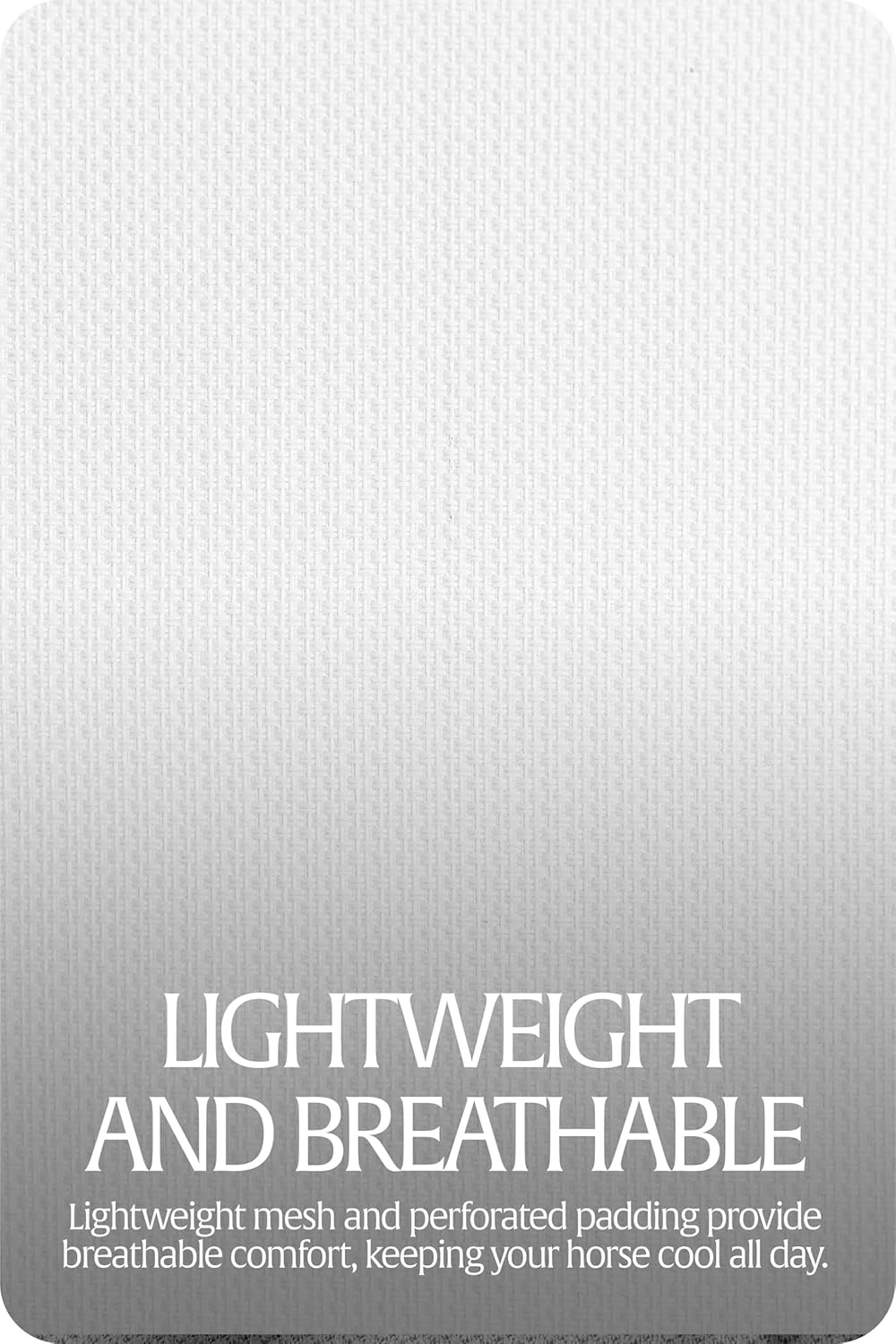 Equinavia Algard Soft Mesh Horse Fly Mask with Ear Protection and 45 UPF Rating | No Eye Irritation & UV Protection - Silver - Pony