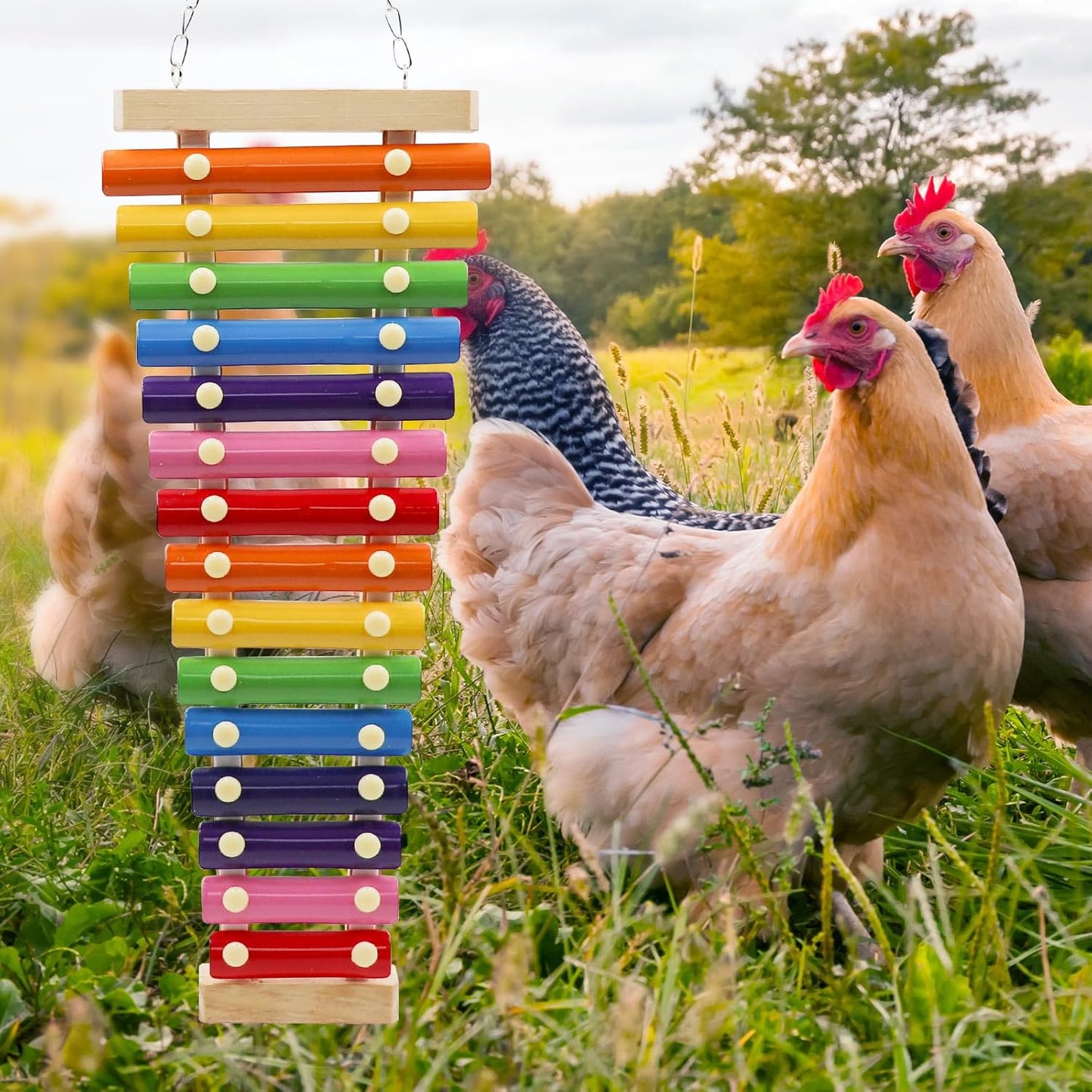 Dnoifne Large Colorful Chicken Xylophone Toy, Hanging Funny Xylophone Toy with 15 Metal Keys, Cage Toy Accessories for Chicken Chick Bird Parrot Parrot Parakeet Budgies Love Birds