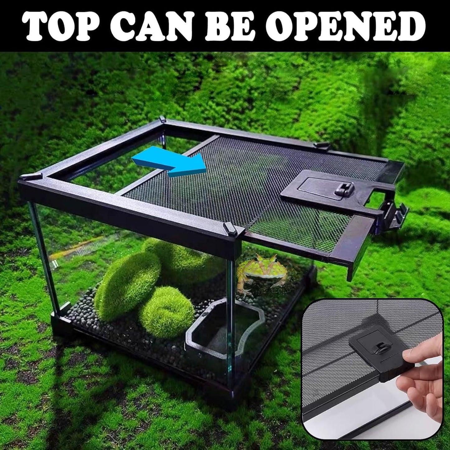 BNOSDM Reptile Tank,8" x 8" x 6" Mini Reptiles Terrarium,Full View Young Lizard Glass Tank,Small Amphibians Habitat Enclosure Cage for Tarantula,Frog,Hermit Crab,Isopods,Insects Breeding Box