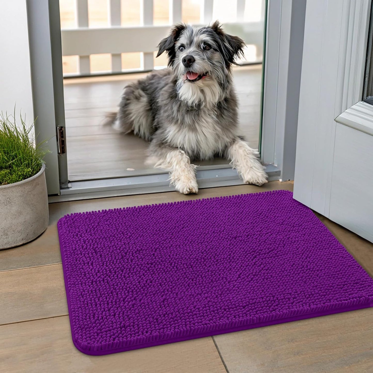 Smiry Dog Door Mat for Muddy Paws 24x16, Absorbs Moisture and Dirt Doormat, Non-Slip Washable Quick Dry Chenille Front Door Mat Indoor Entrance, Entryway Carpet for Inside Floor, Purple
