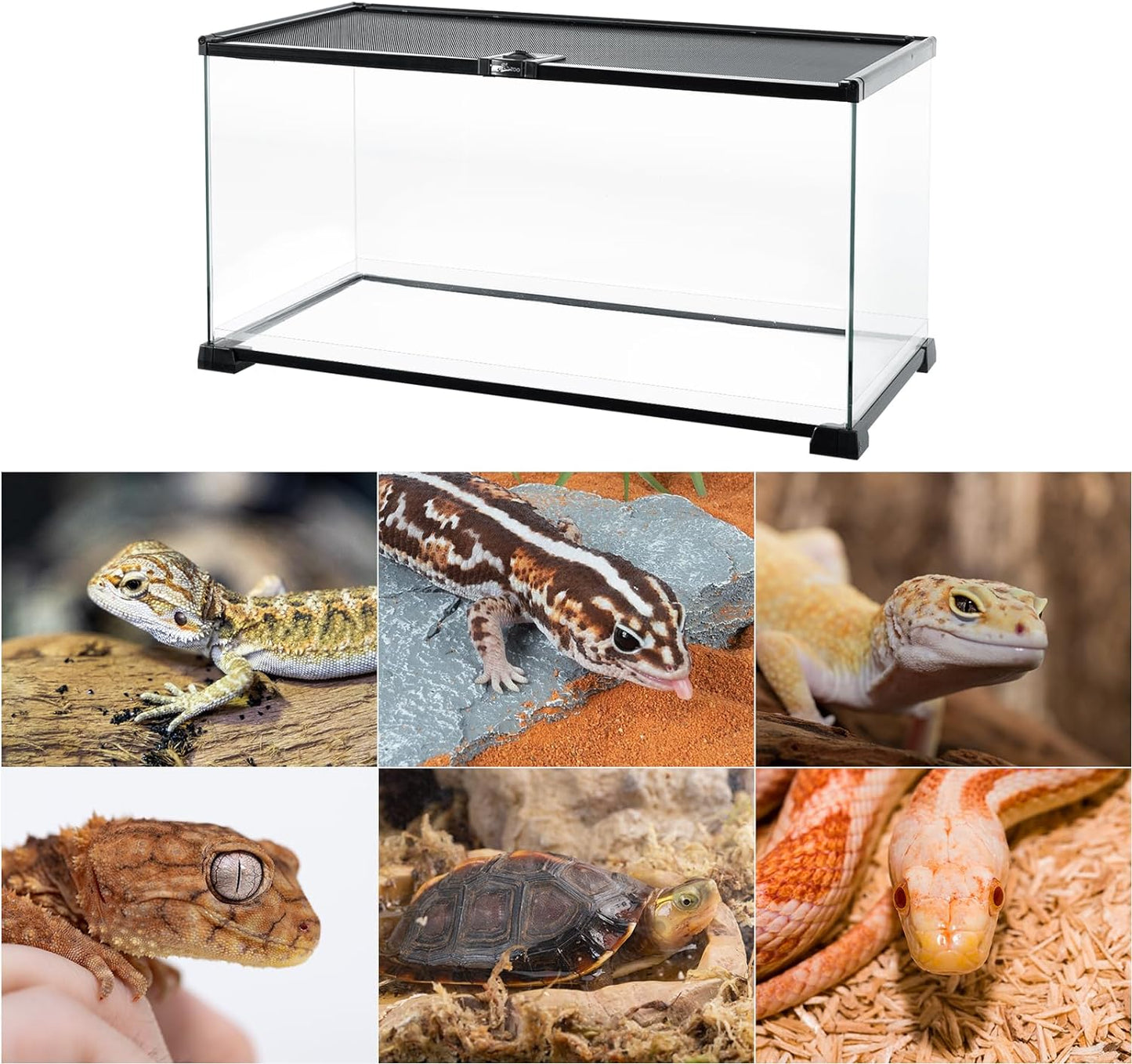 REPTI ZOO Full Glass 15 Gallon Reptile Tank, Medium Reptile Terrarium 24" X 12" X 12" for Gecko Hermit Crab Hognose Snake etc, Top Screen Ventilation & Feeding