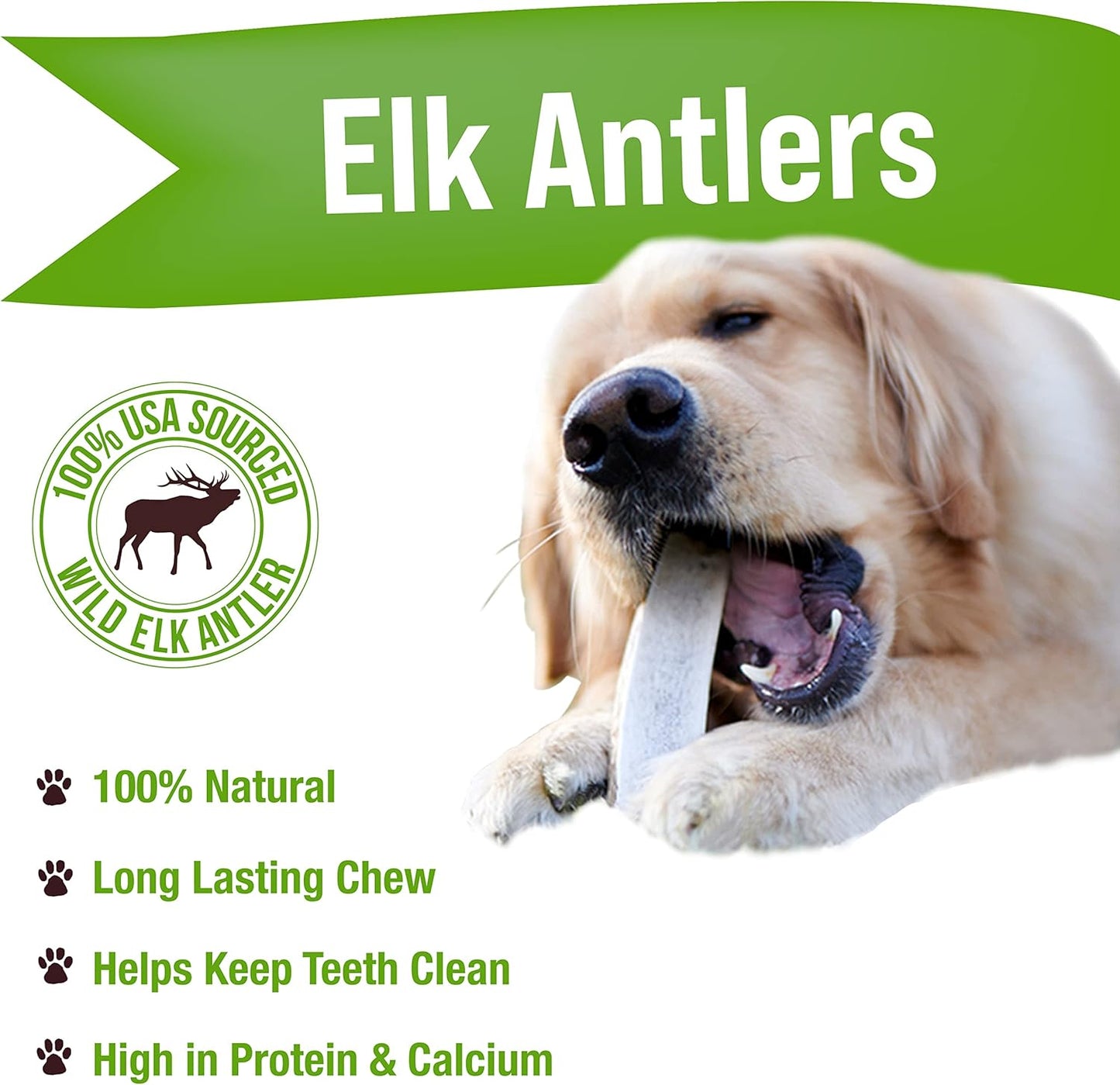 Buck Bone Organics Dog Chews, Elk Antlers for Dogs, Long Lasting Dog Bones for Aggressive Chewers, All Natural, No Preservatives, Wild Shed in The USA (1 Pound Bag)