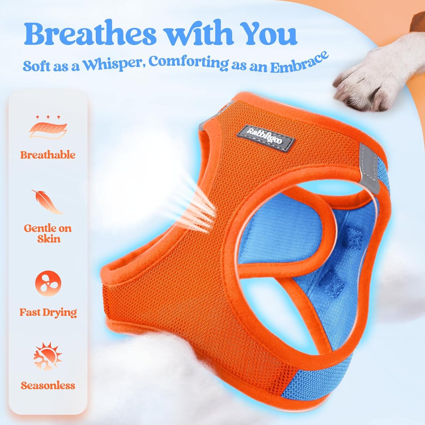 rabbitgoo Dog Harness Small Sized and Leash Set, Step in Soft Light Puppy Vest, Breathable Mesh Pet Harness, Reflective for Safe Easy Walking, Blue & Orange XS