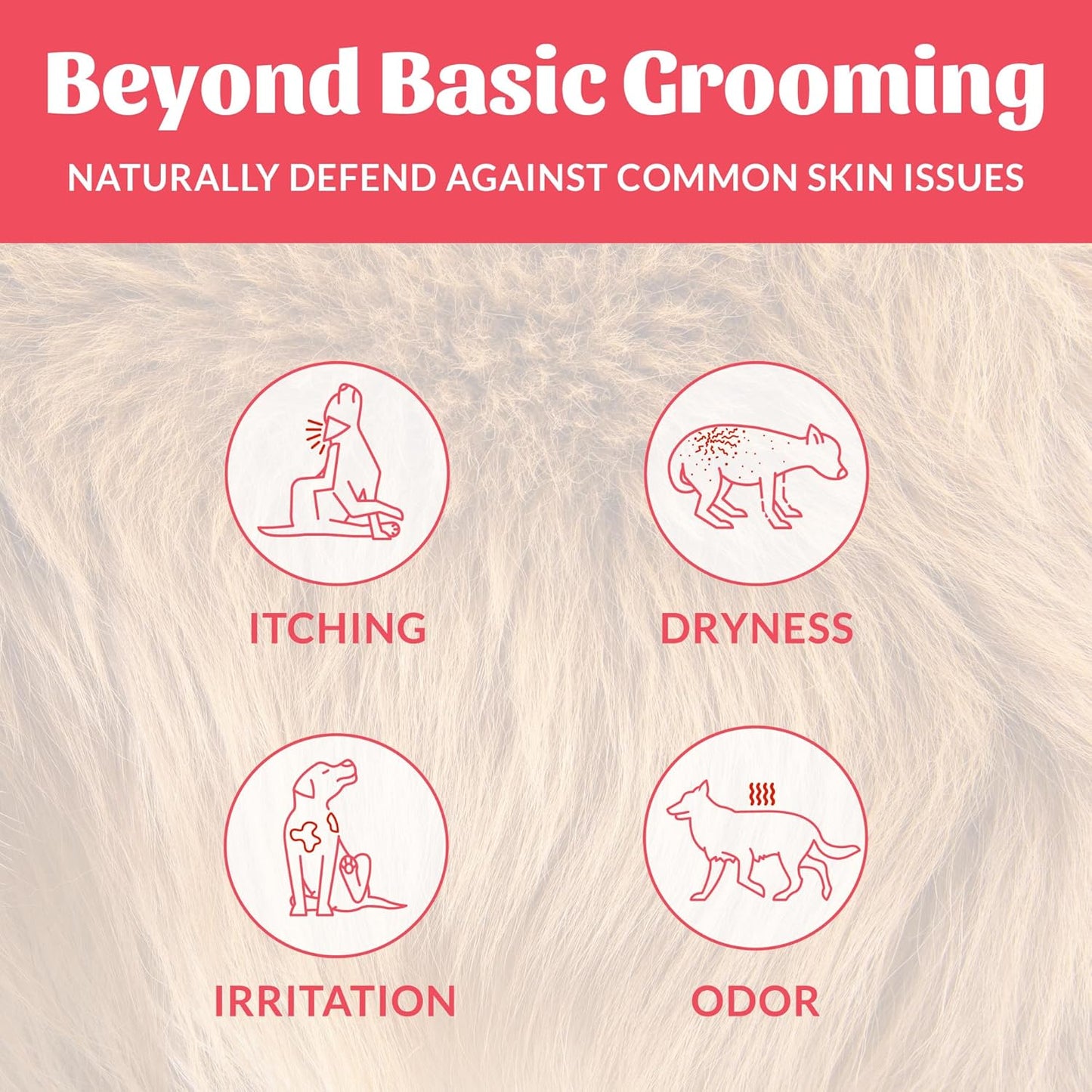 Skout's Honor Probiotic Dog Shampoo & Conditioner with Avocado Oil & Omega-3s, 97% Natural, Paraben & Sulfate-Free, Cruelty-Free, 16oz, Sunkissed Coconut