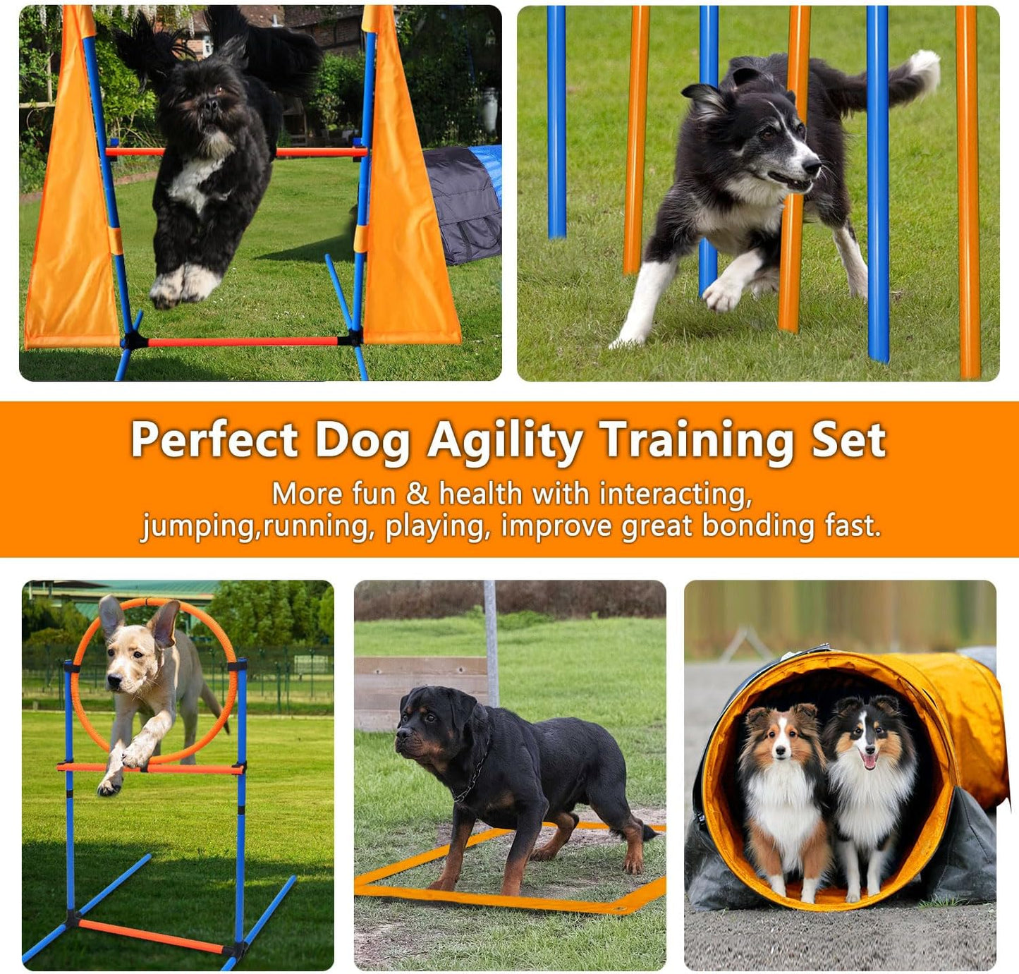 Dog Agility Training Equipment Set Outdoor Indoor Game, Tire Jump + Hurdle Jump, Tunnel, Weave Poles, Pause, 2 Toy Balls, 2 Discs, 1 Whistle, 1 Bag, 2 Training Clicker Backyard Dog Obstacle Course Kit