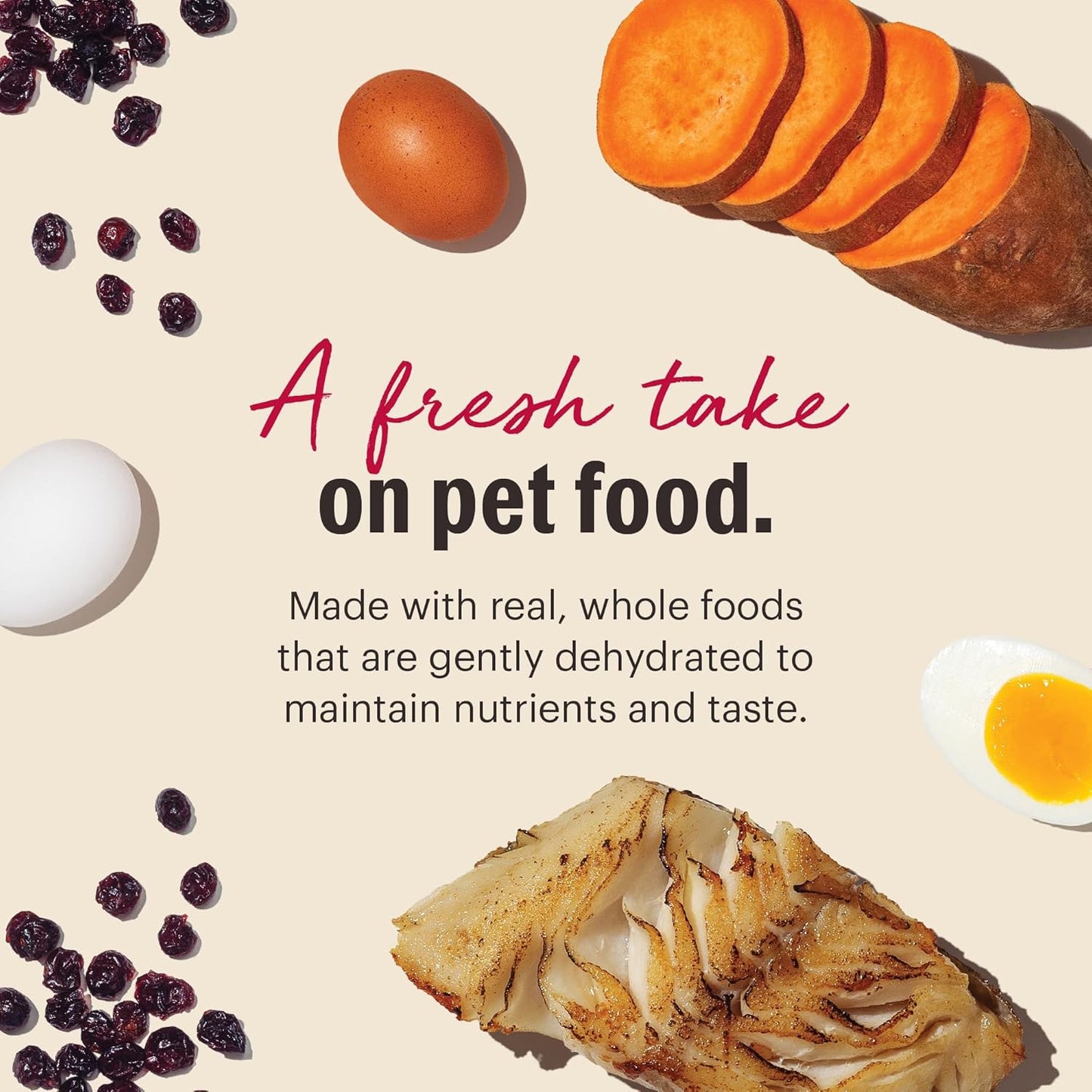 The Honest Kitchen Wholemade™ Grain Free Fish Dog Food, 10 lb Box