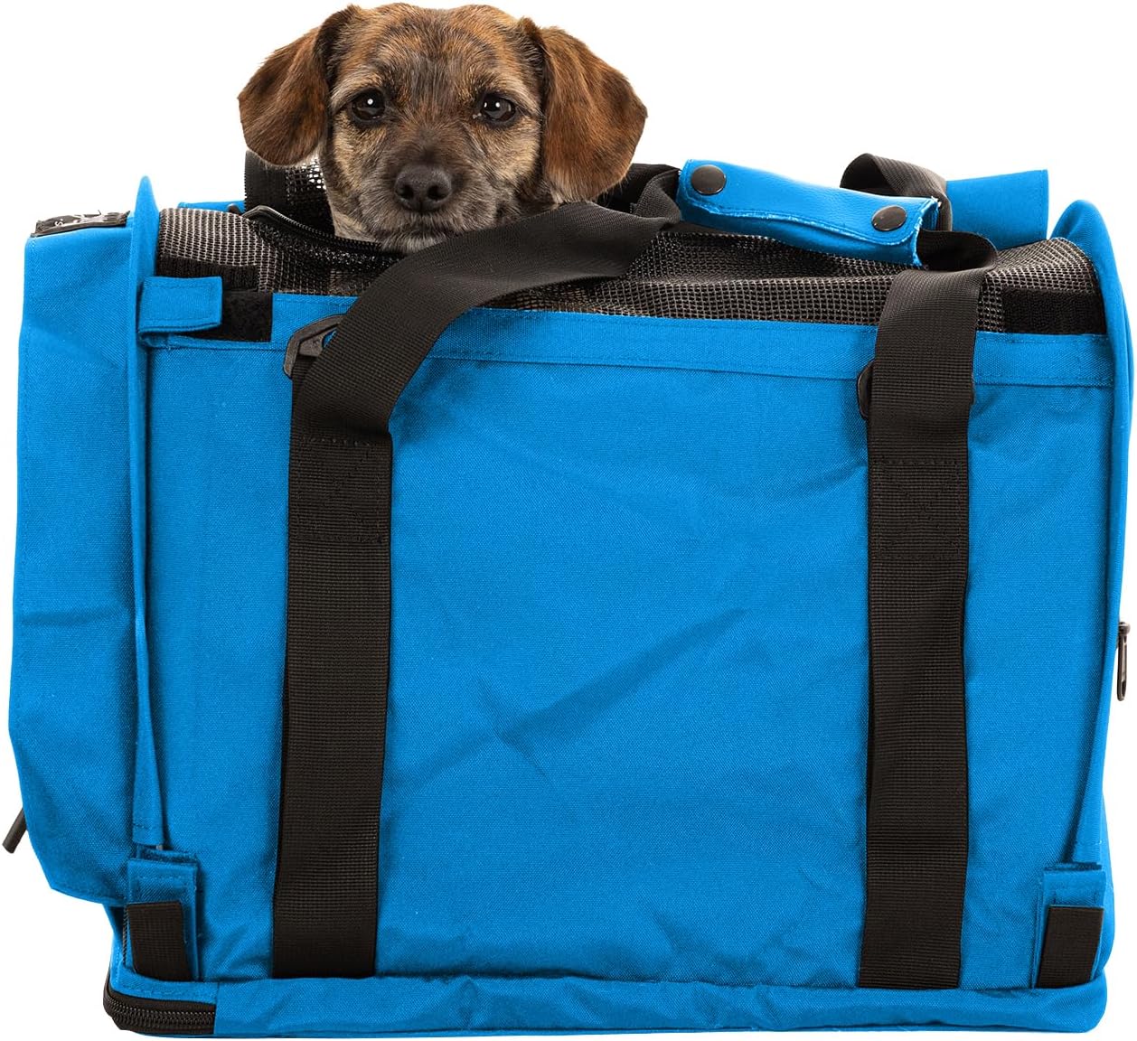 SturdiBag Pro 2.0 Pet Travel Carrier with Flexible Height for Cats and Dogs | Soft Sided Pet Carrier Bag with Safety Clips and Seatbelt Straps for Airplane or Car Travel | Medium, Blue Jay
